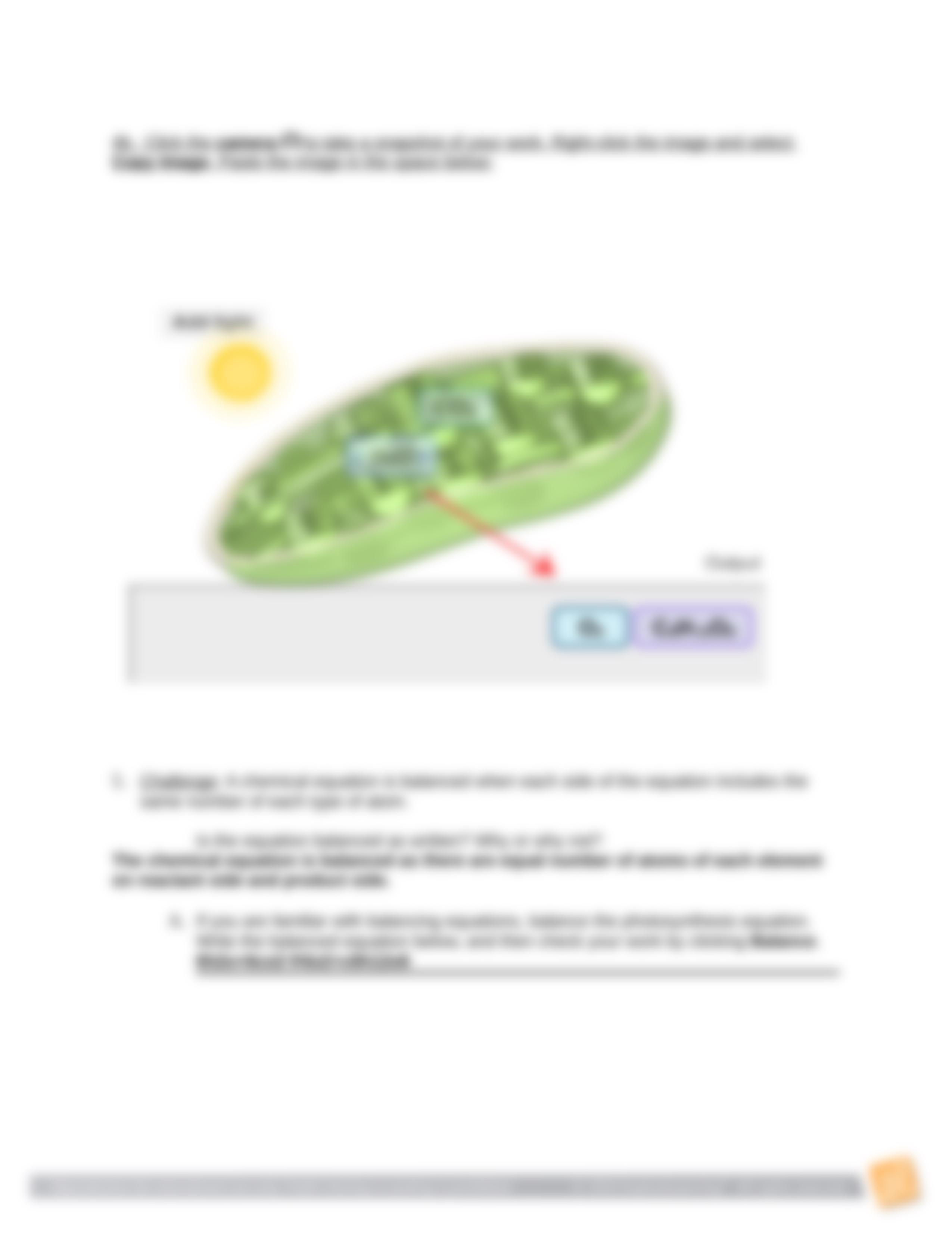 Student Exploration - Cell Energy Cycle (2).doc_dgb9ou331iy_page3