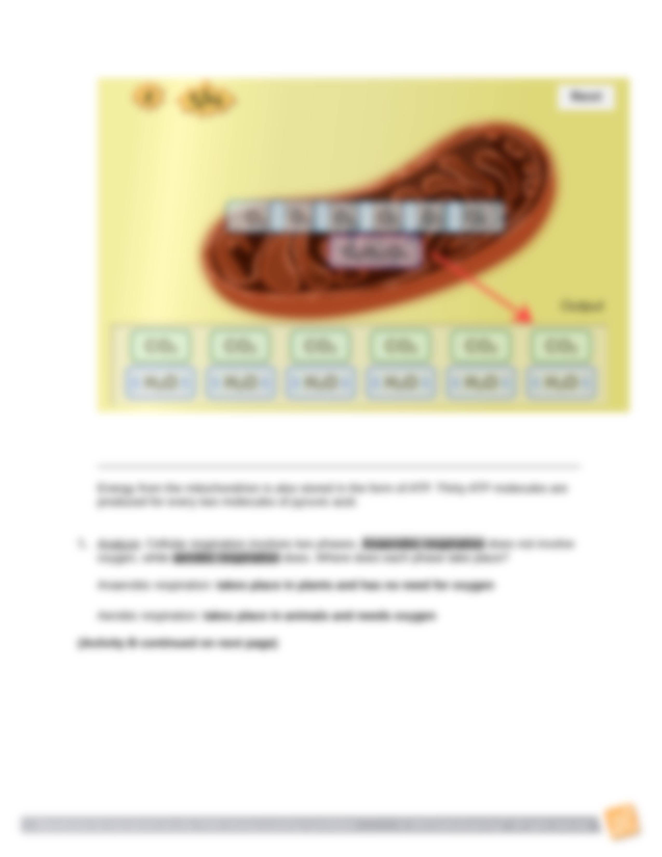 Student Exploration - Cell Energy Cycle (2).doc_dgb9ou331iy_page5