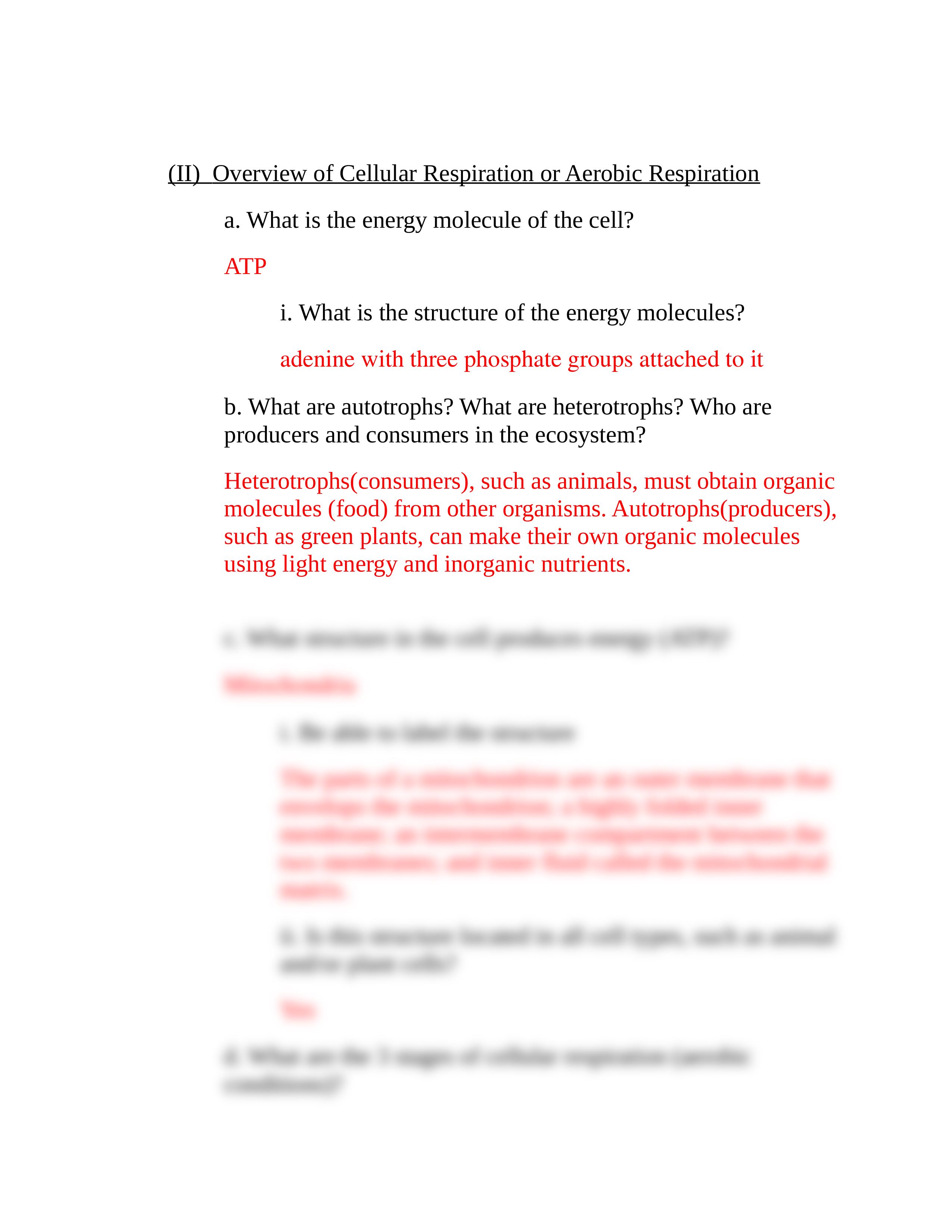 Bio Exam 3 Study Guide_dgn53ostz4y_page2