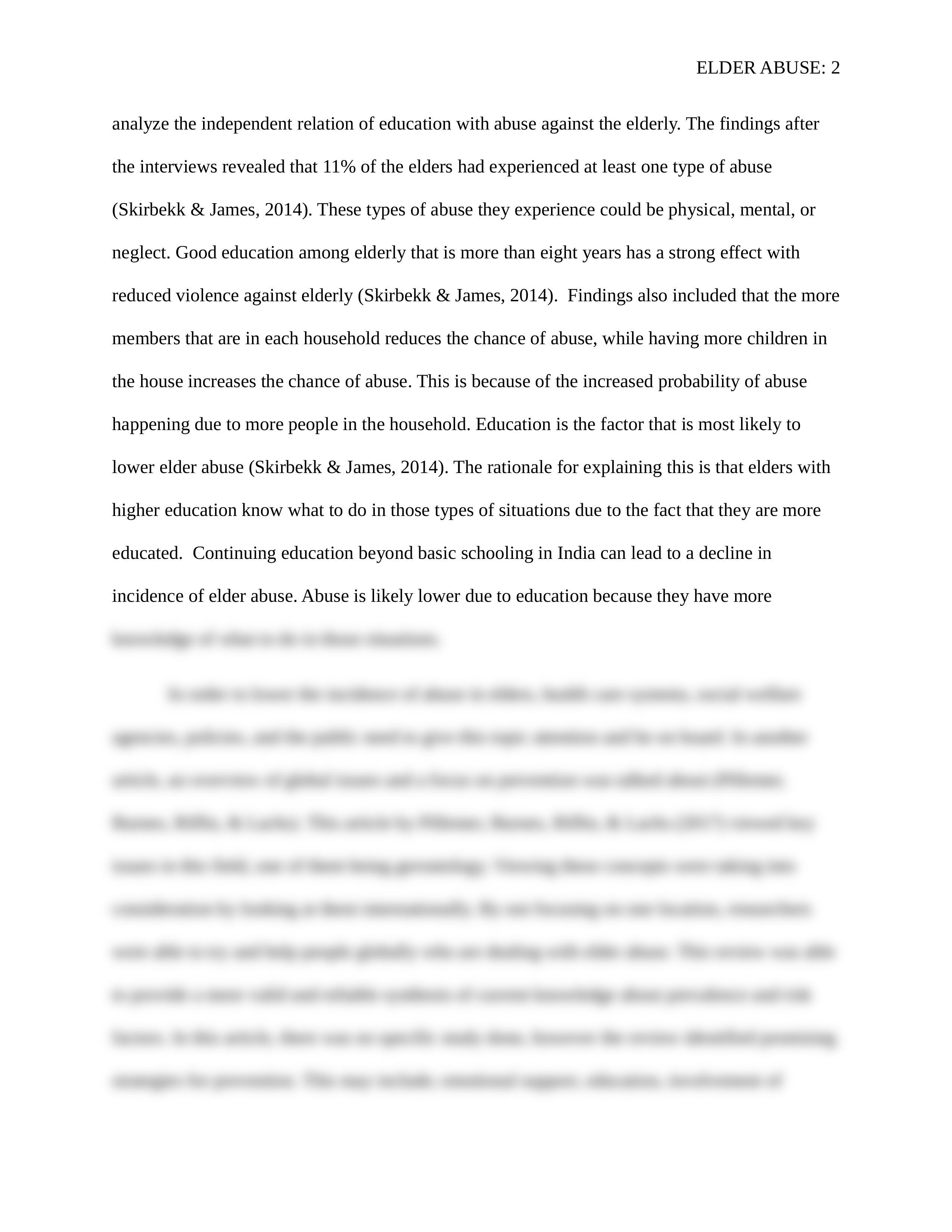 final paper 485 (update).docx_dgpyllniv5i_page2