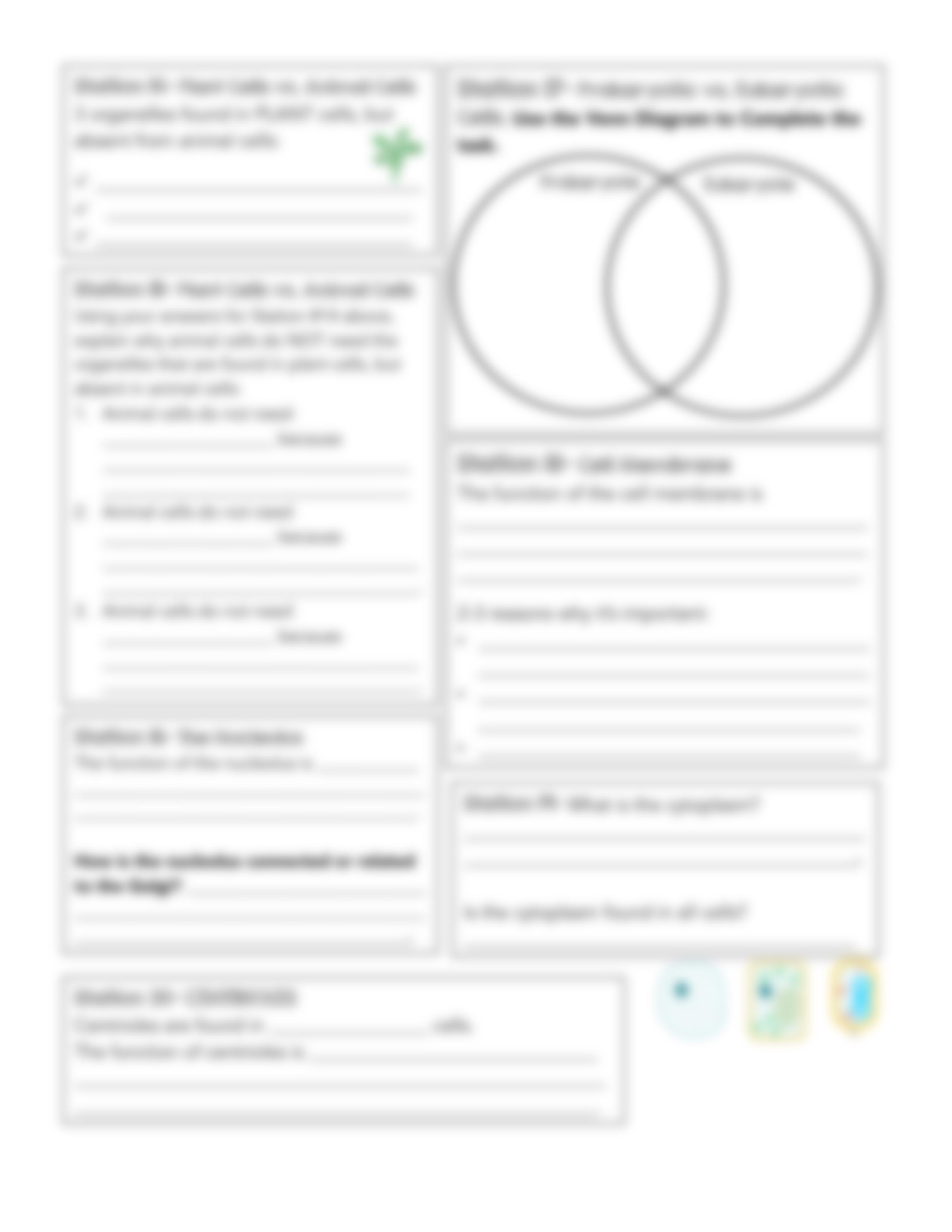 Cell Organelles Task Cards Answer Sheet (1).pdf_dgu9rb4ubmh_page3