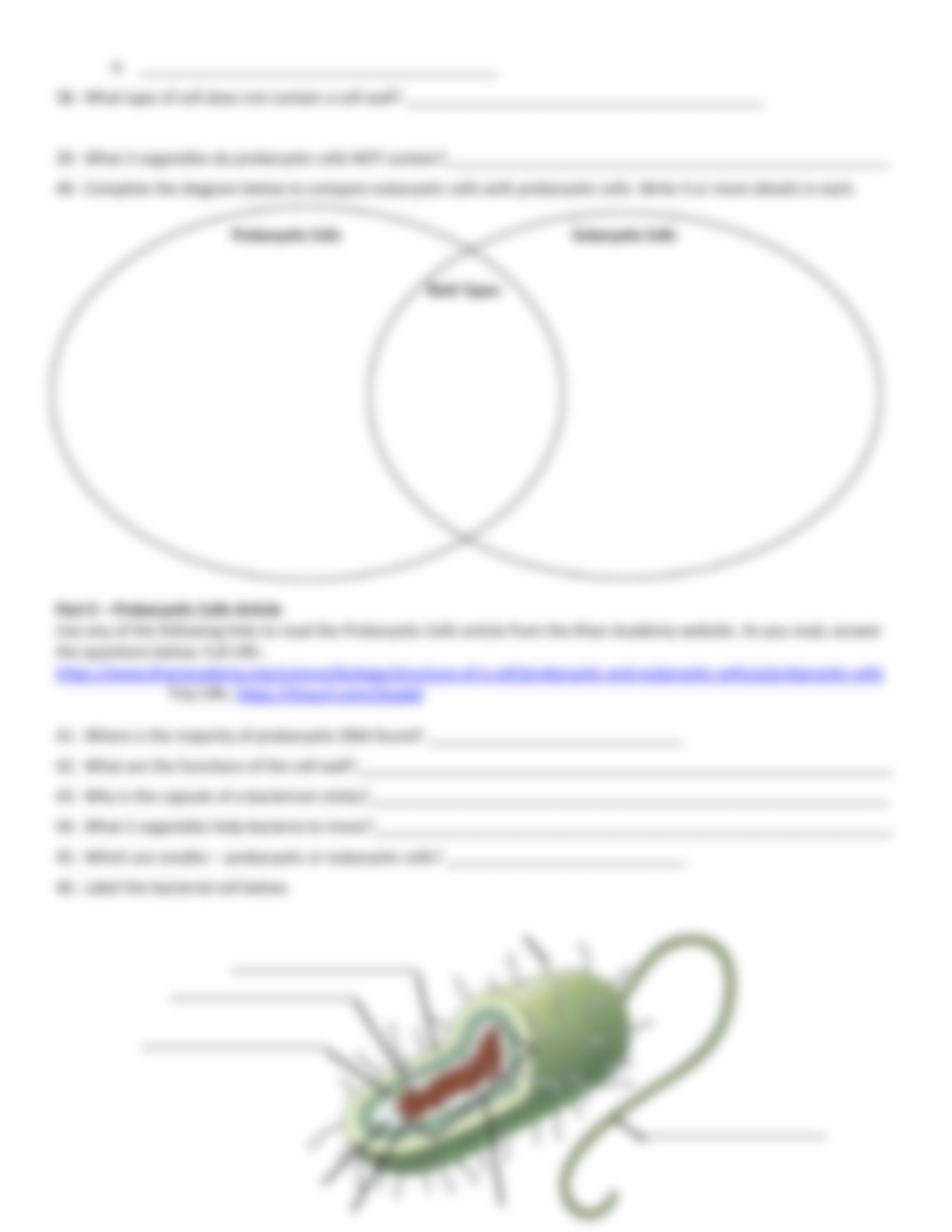 Hester Prokaryotic and Eukaryotic Cells Webquest - Science Is Real.pdf_dgwpfxgwbrc_page4