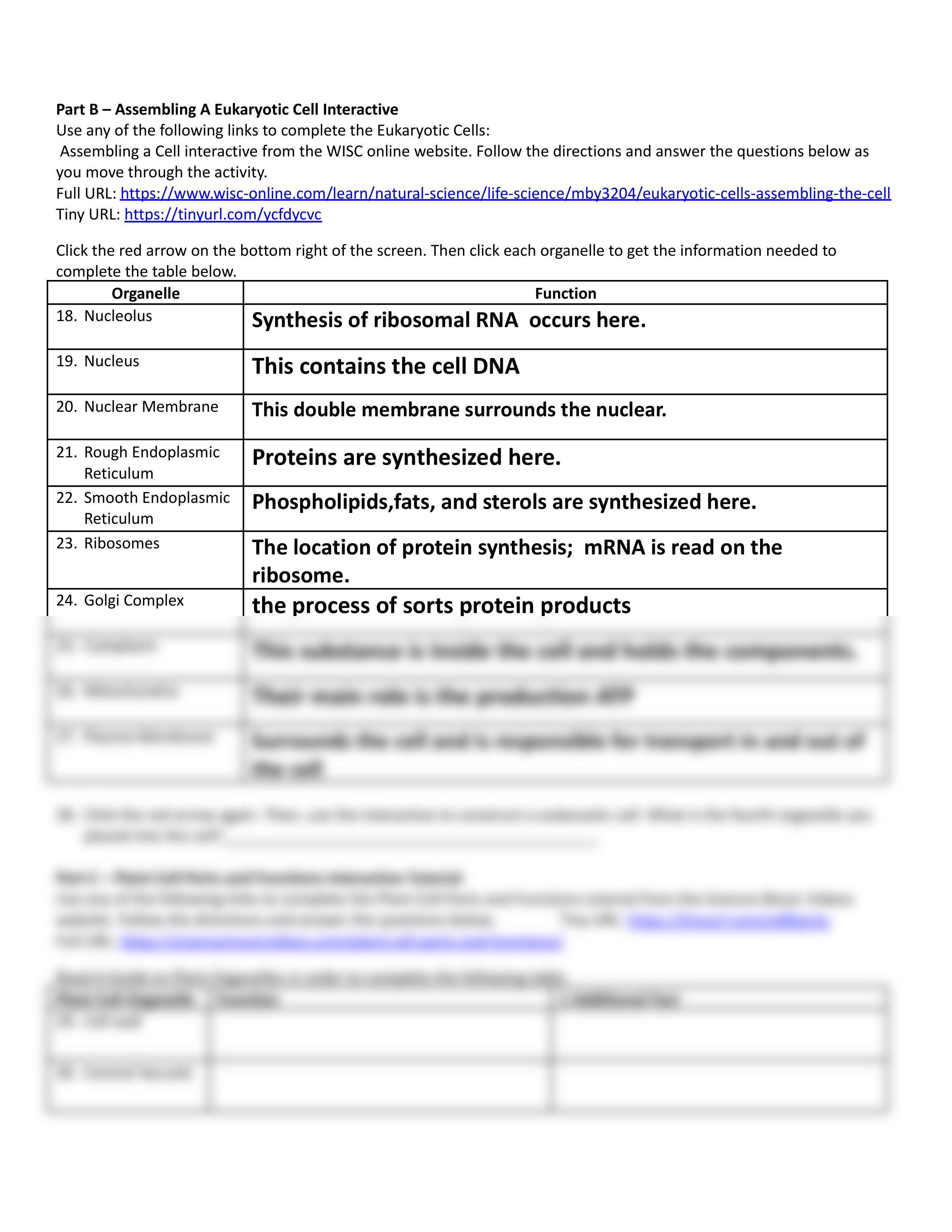 Hester Prokaryotic and Eukaryotic Cells Webquest - Science Is Real.pdf_dgwpfxgwbrc_page2