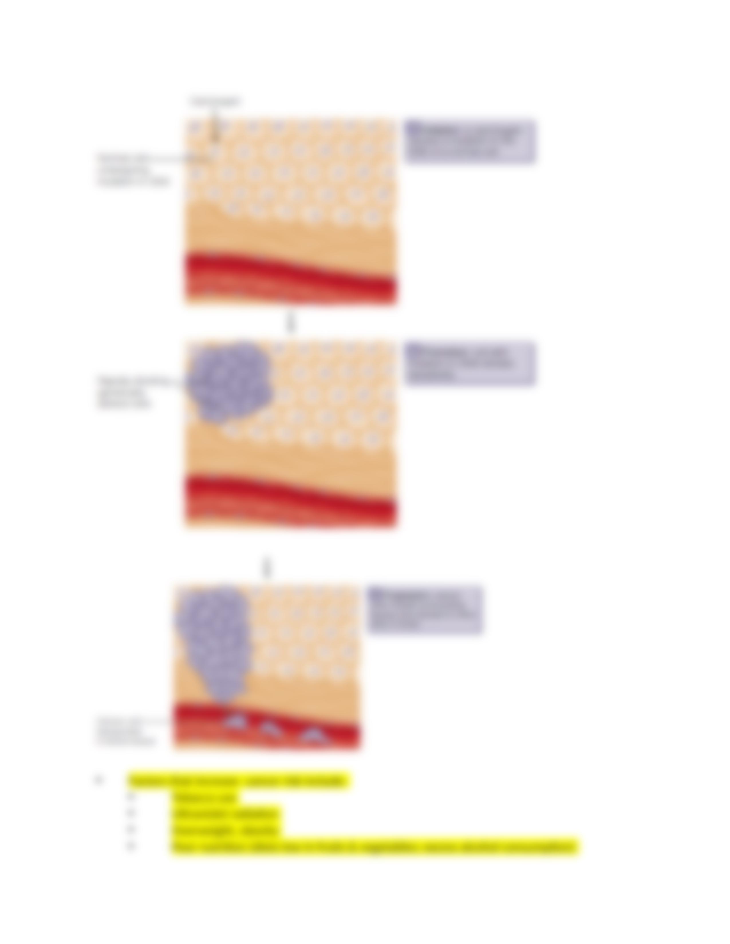 Antioxidants and Free Radicals.docx_dgxjnau2w70_page5