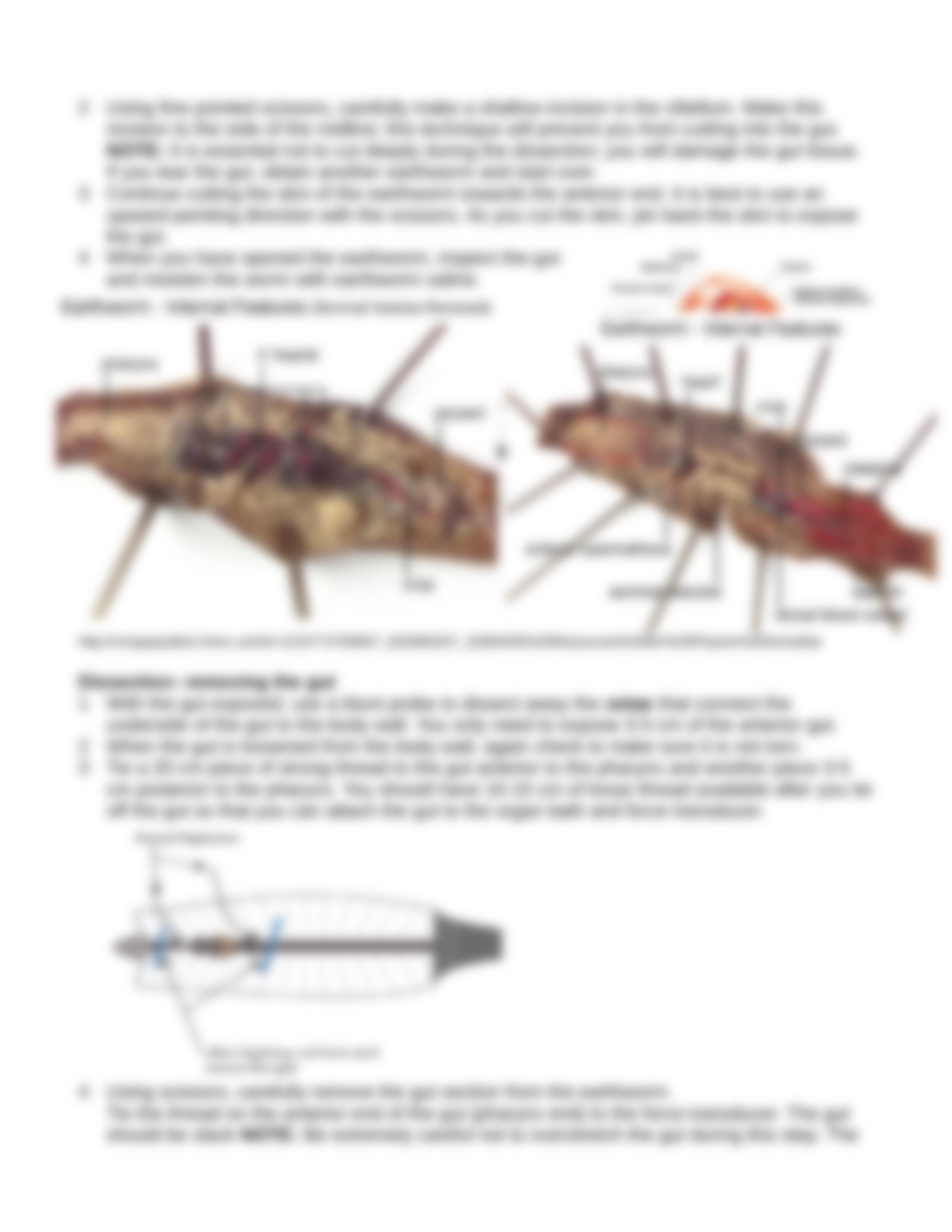 lab 4_dh5ygj6l9eg_page3