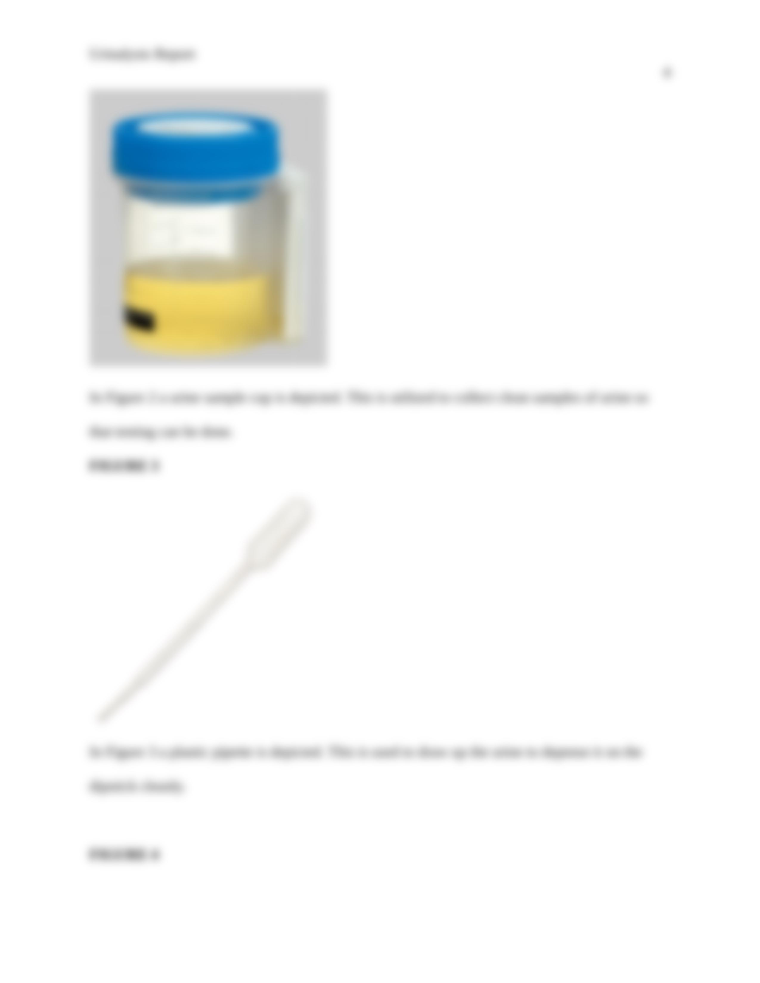 Urinalysis Lab Report.docx_dhb6lw85d0h_page4