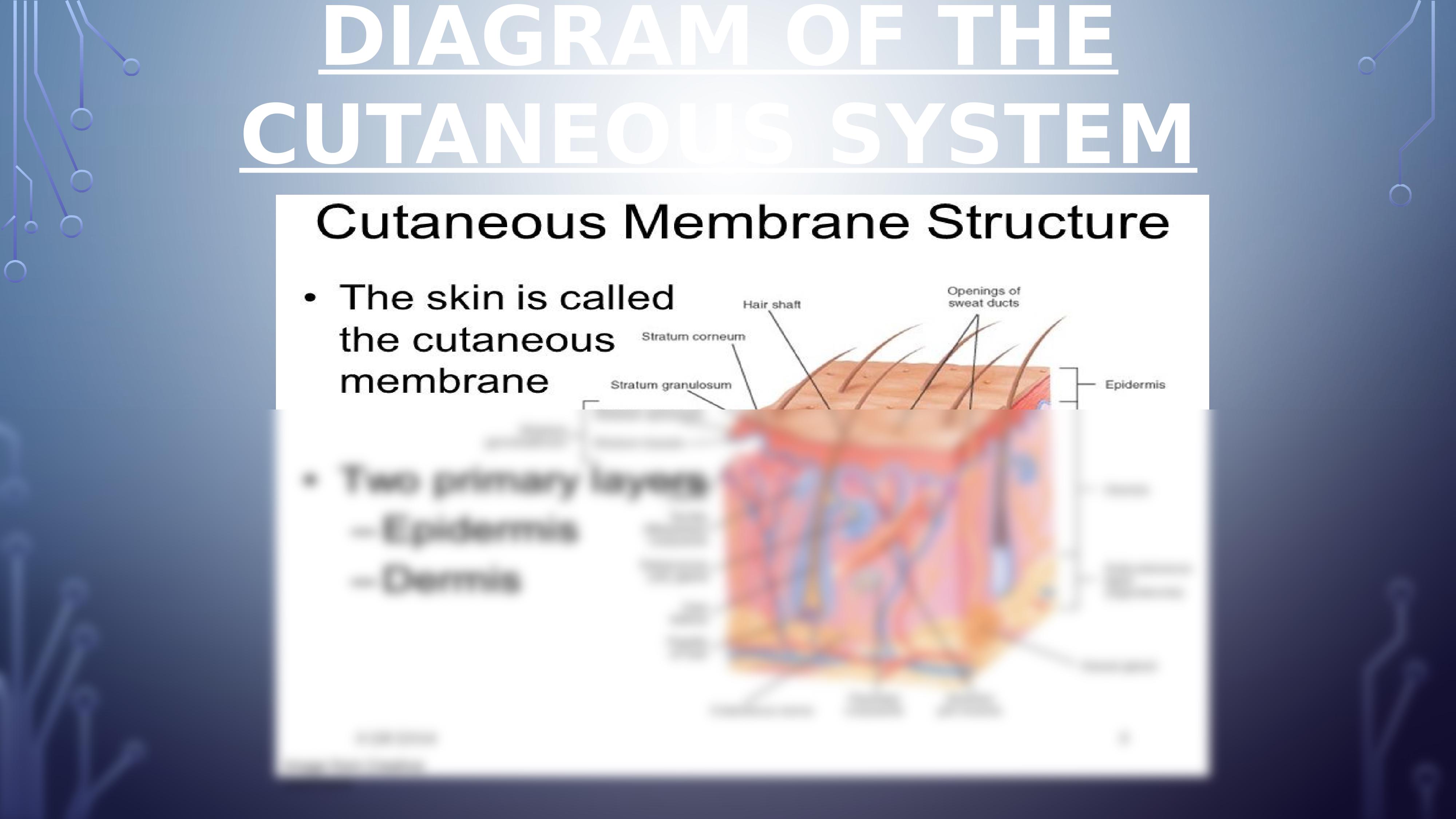 Learning_Team_A_Perception_of_Pleasure_And_Pain_Powerpoint_Week_5_dhd4xb43o98_page2