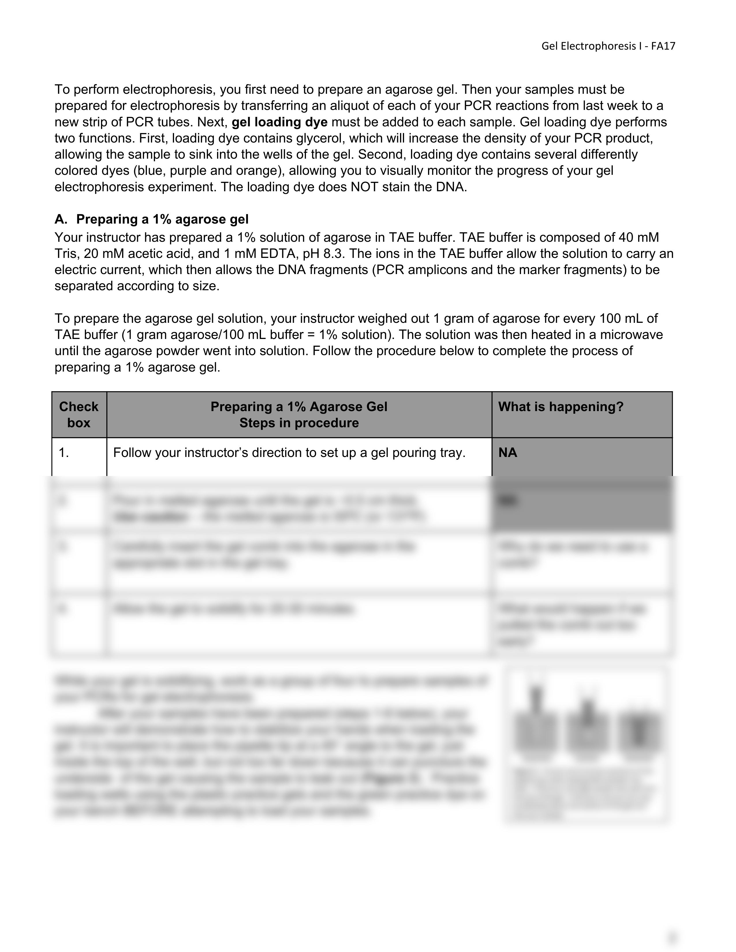 PRINT & READ ME- Lab 7 Gel Electrophoresis FA17 BIO150.pdf_dhdhc3f010k_page2