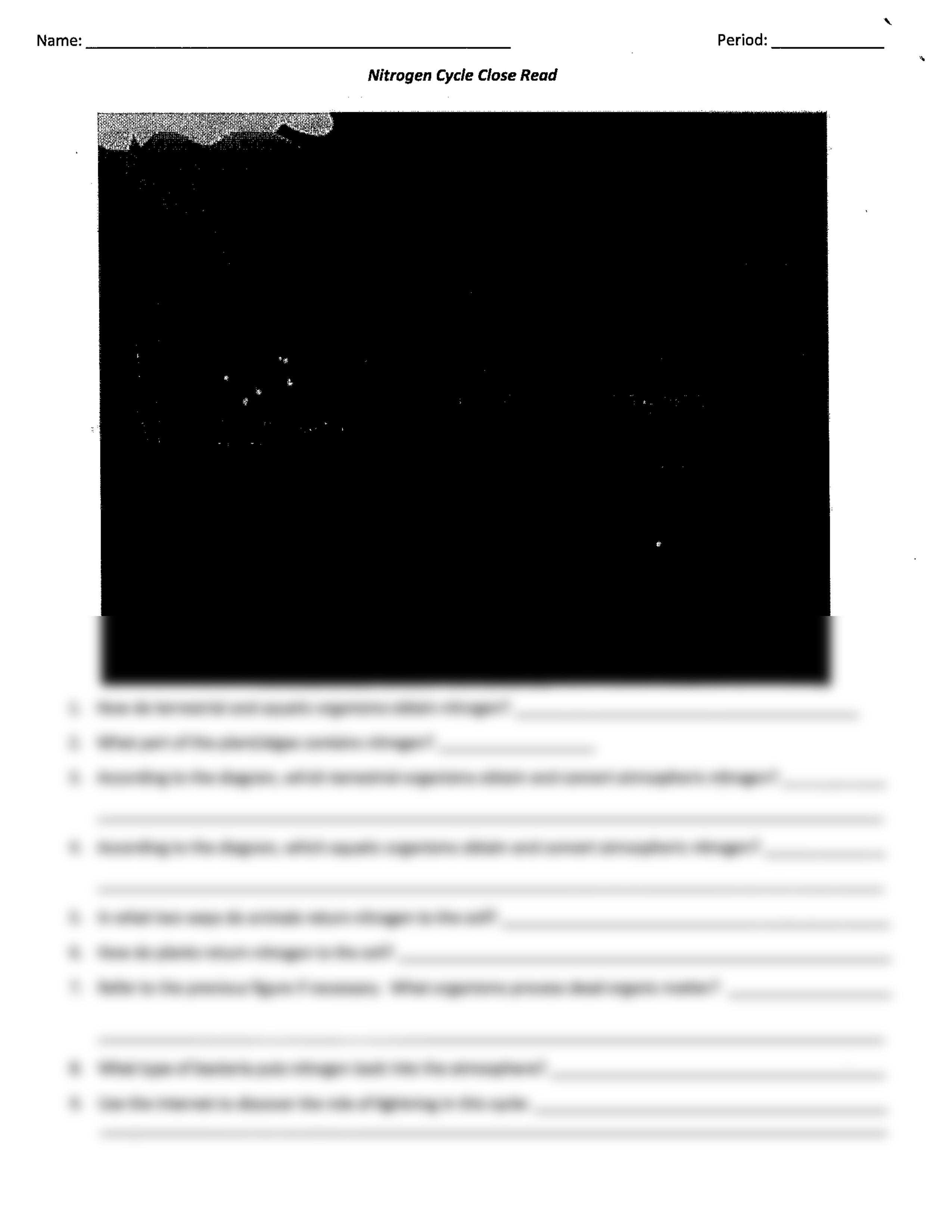 Kami Export - nathan akinola - Nitrogen Cycle Close read.pdf_dheolhiyx61_page2