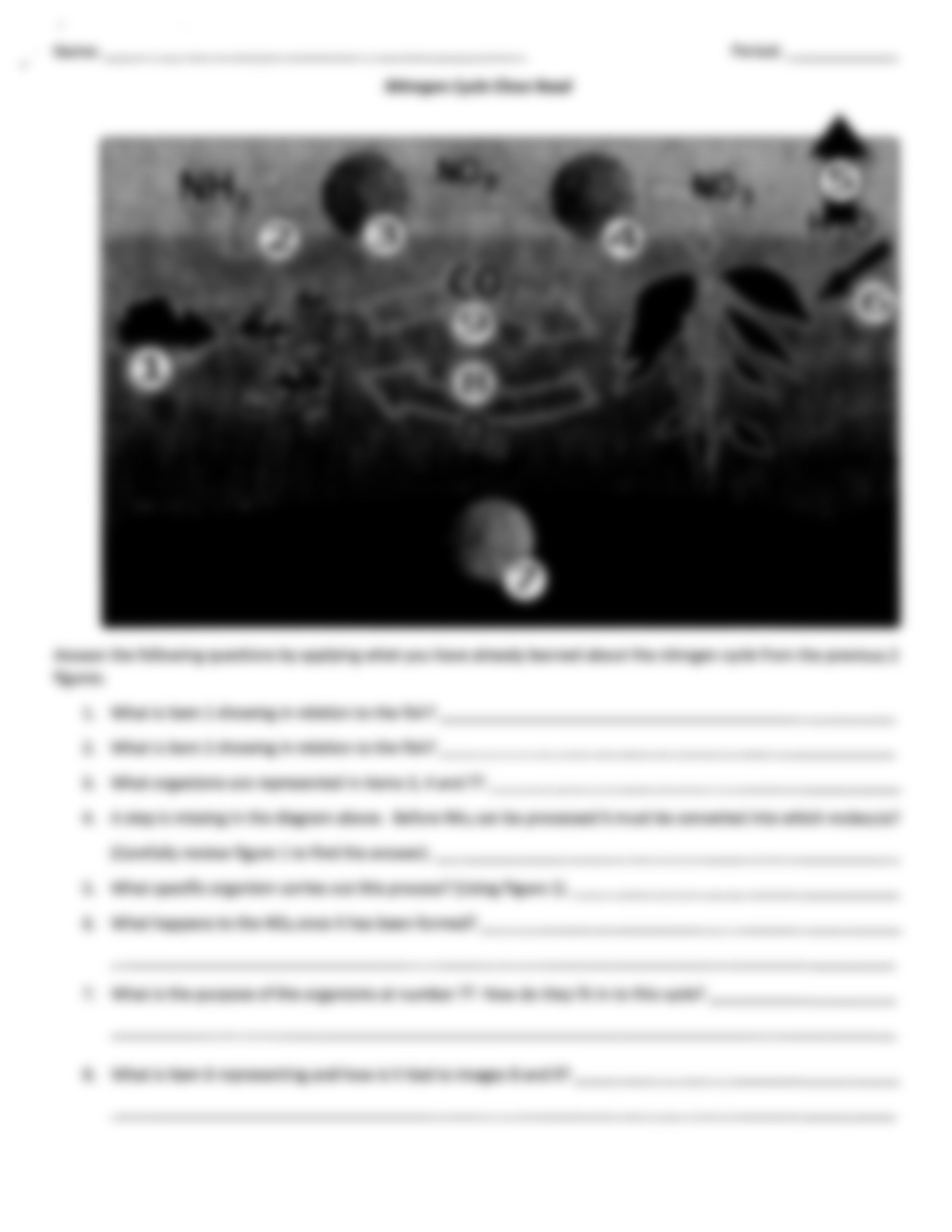 Kami Export - nathan akinola - Nitrogen Cycle Close read.pdf_dheolhiyx61_page3