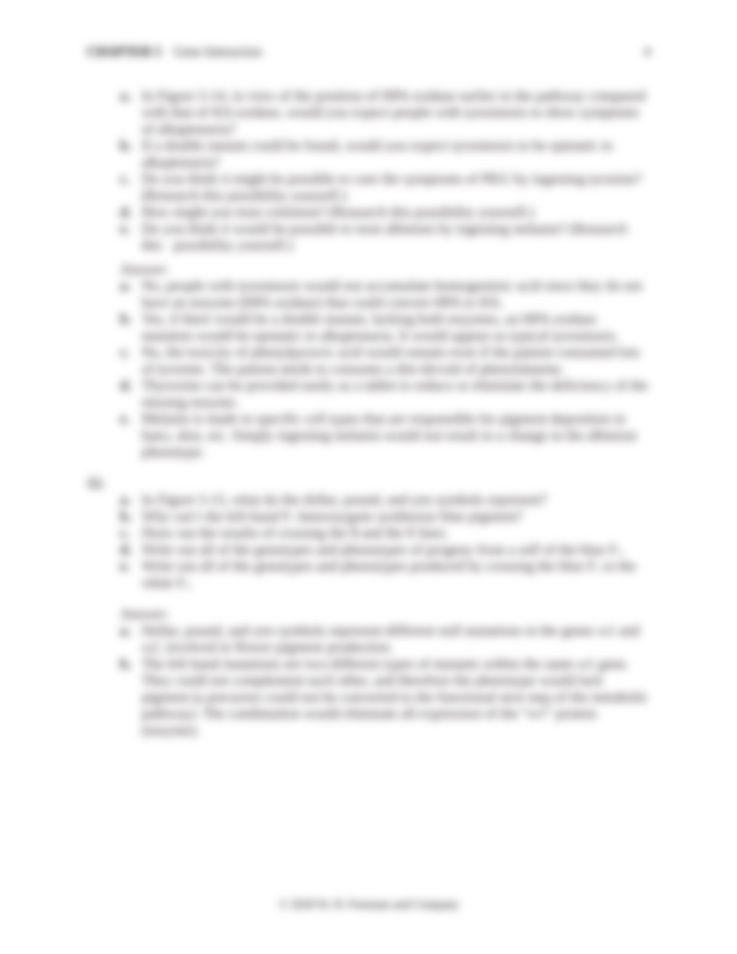 IGA_12e_SM_Ch_05.docx_dhfc0cxphg5_page4