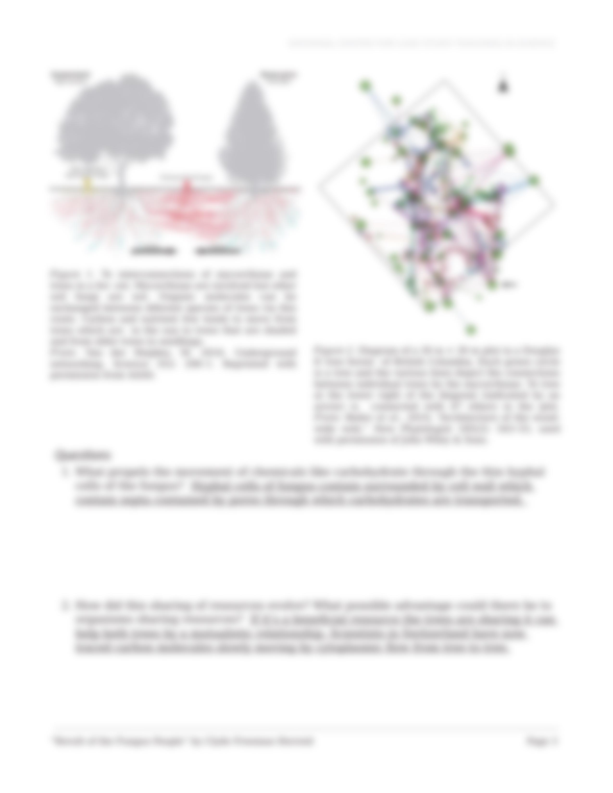 mycorrhizae network - COMPLETED.docx_dhghaaoju6m_page3