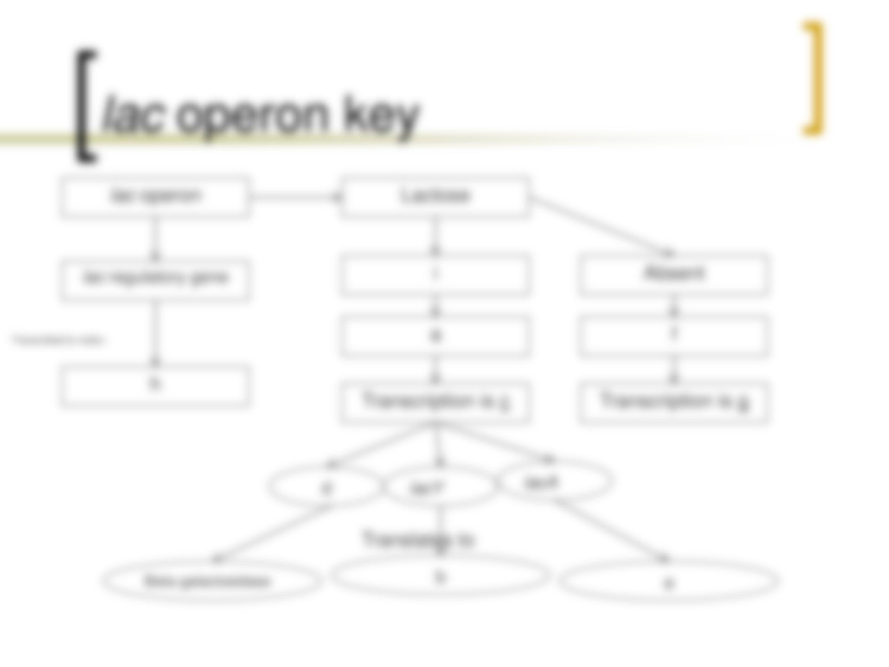 concept map 3_dhgyxqfm6eq_page5