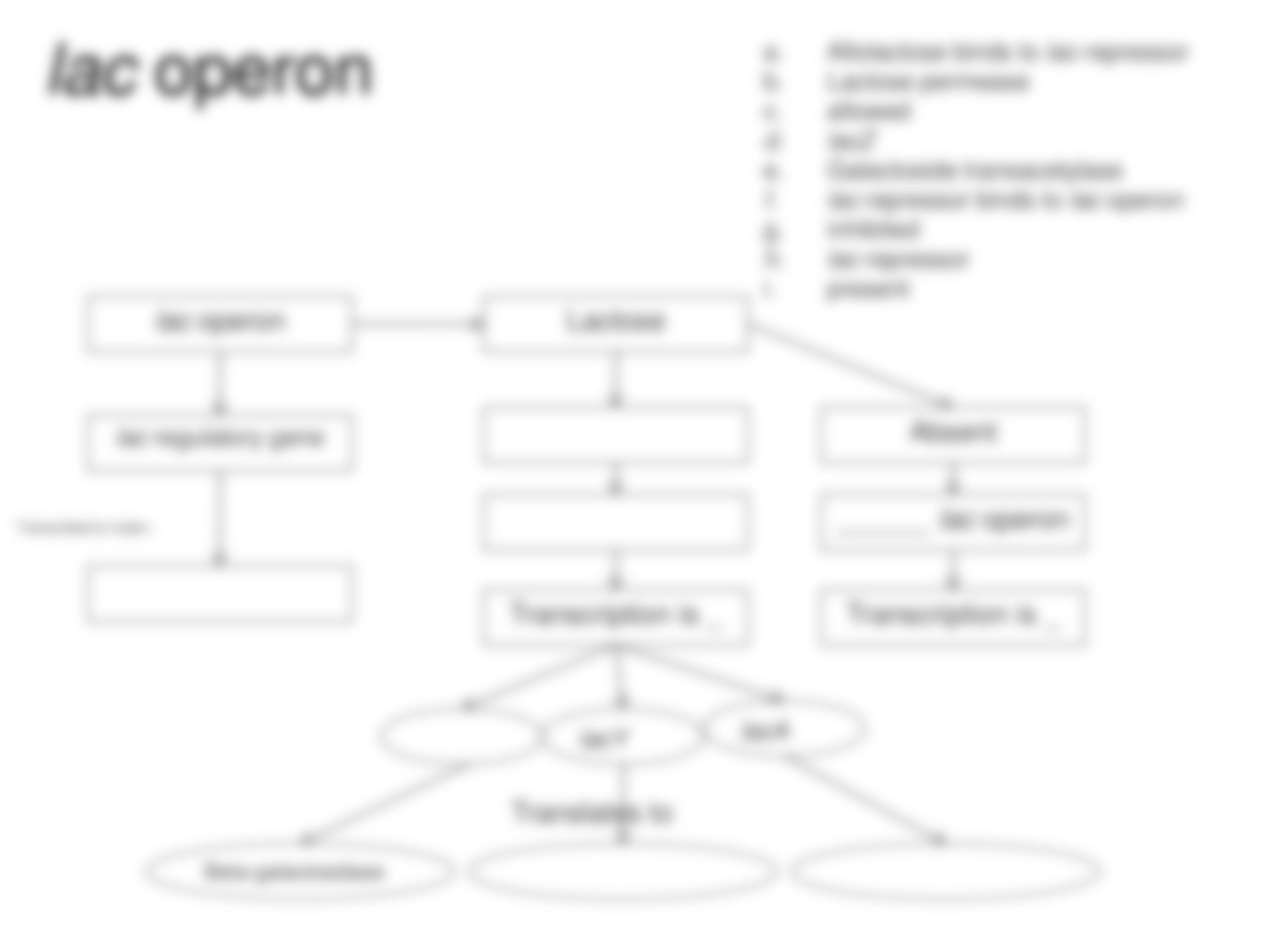 concept map 3_dhgyxqfm6eq_page4