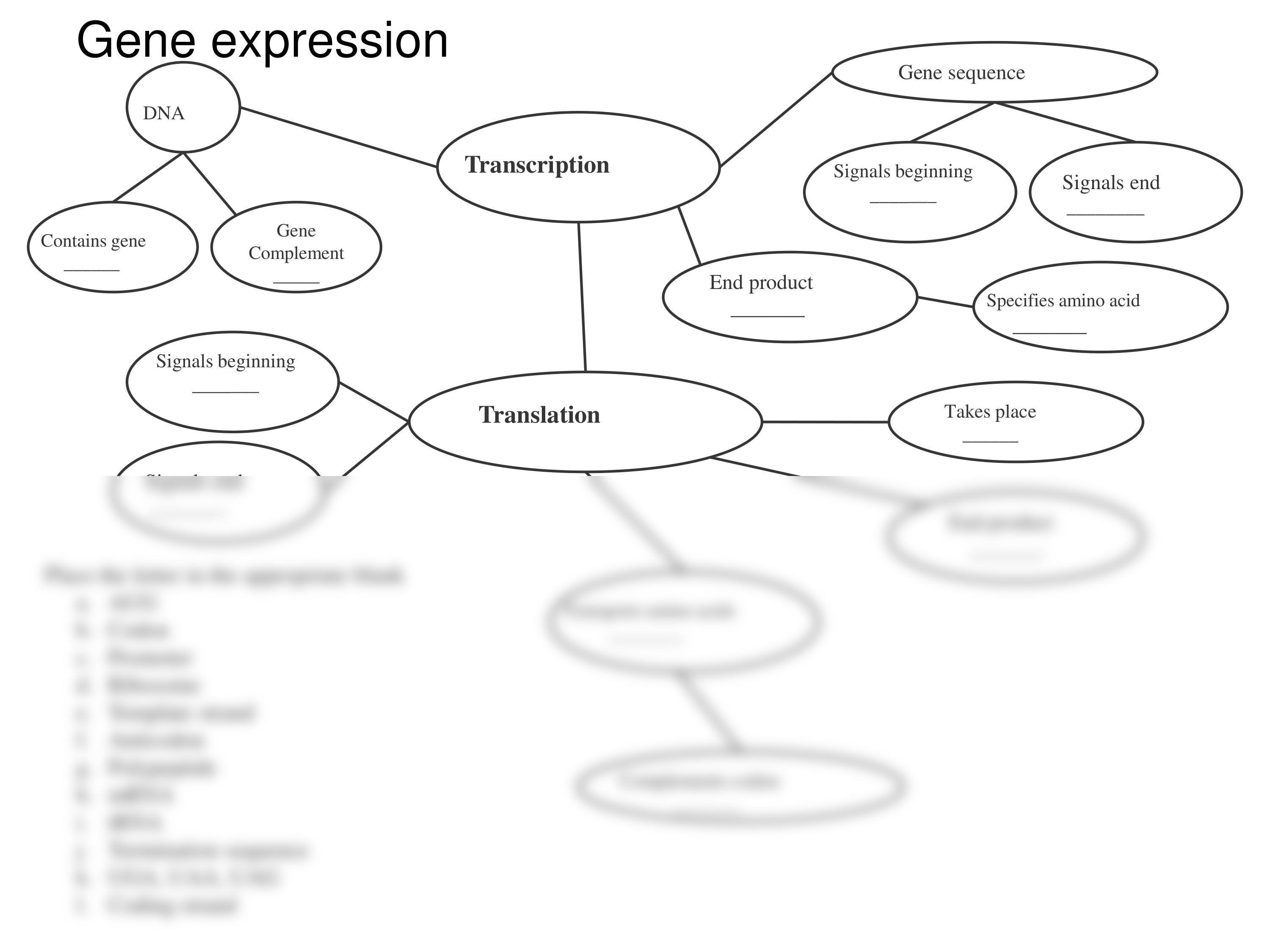 concept map 3_dhgyxqfm6eq_page2