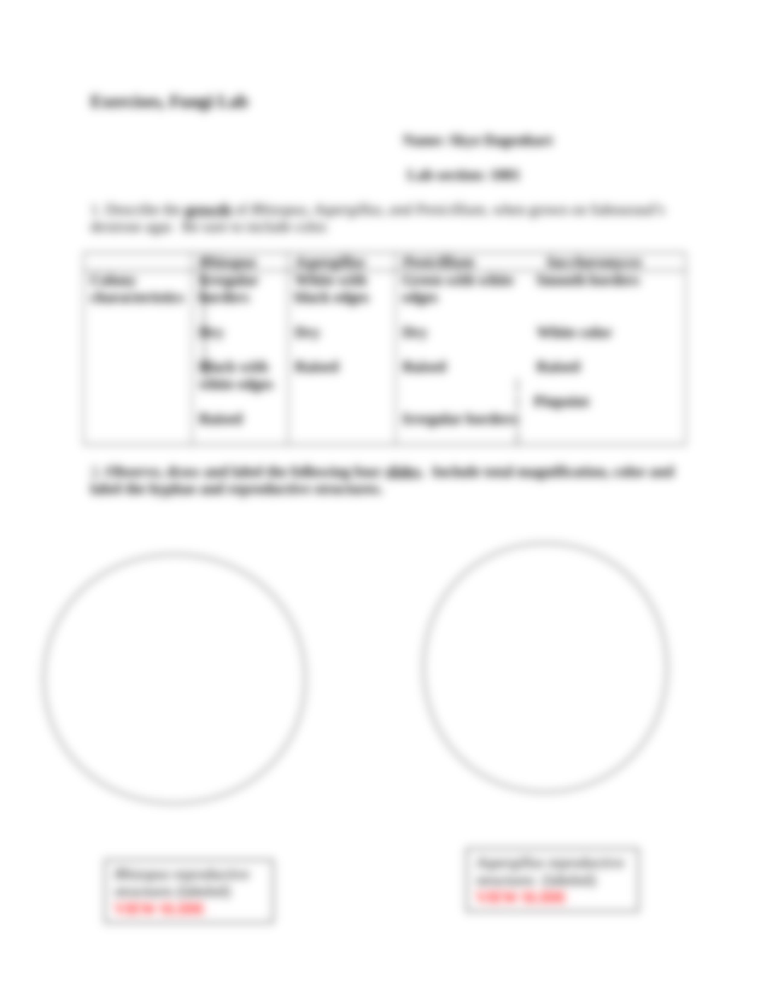 Chapter 20 Fungi.doc_dhk226520vb_page3