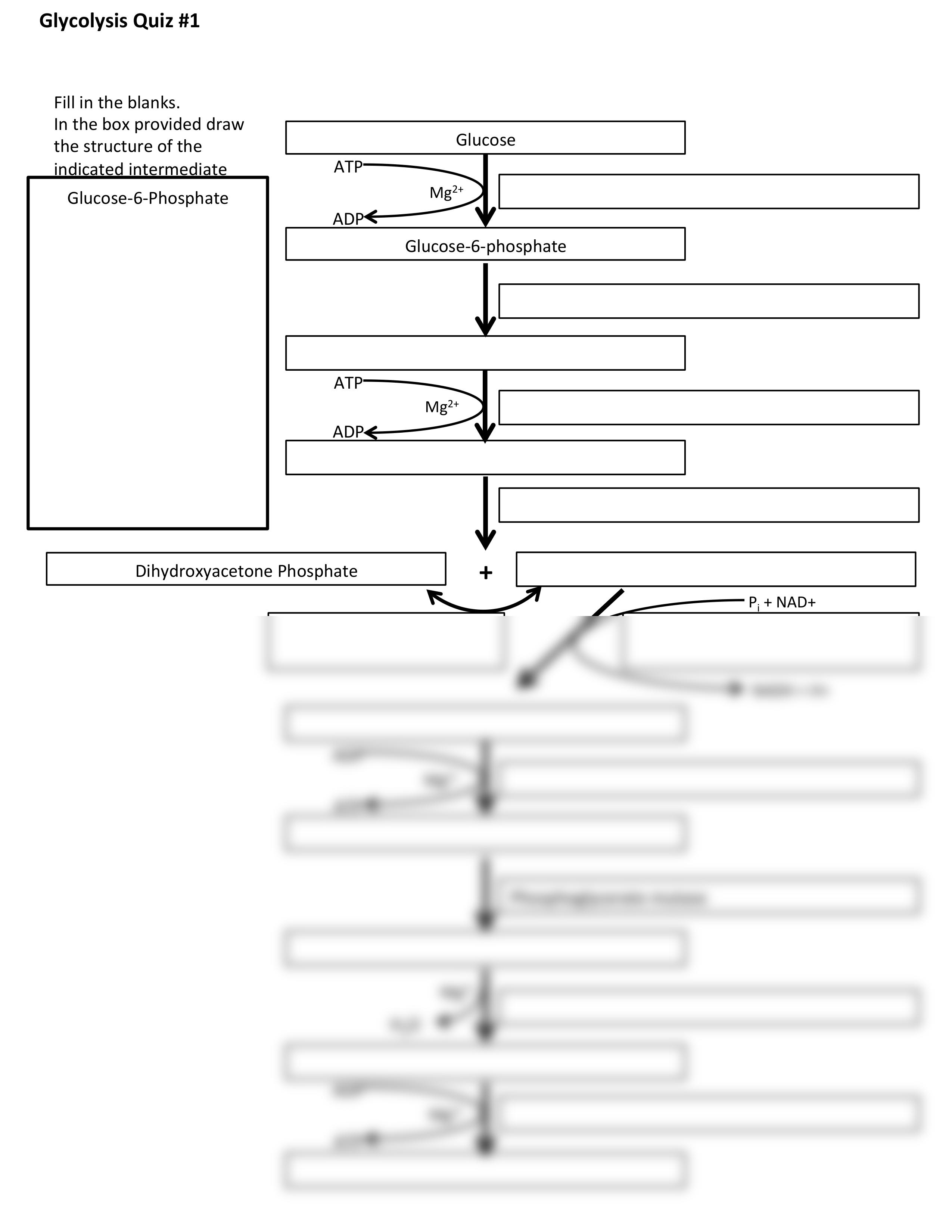 BIBC102 Rev5Quiz Glycolysis Practice Worksheets_dhmdobq0z7a_page2