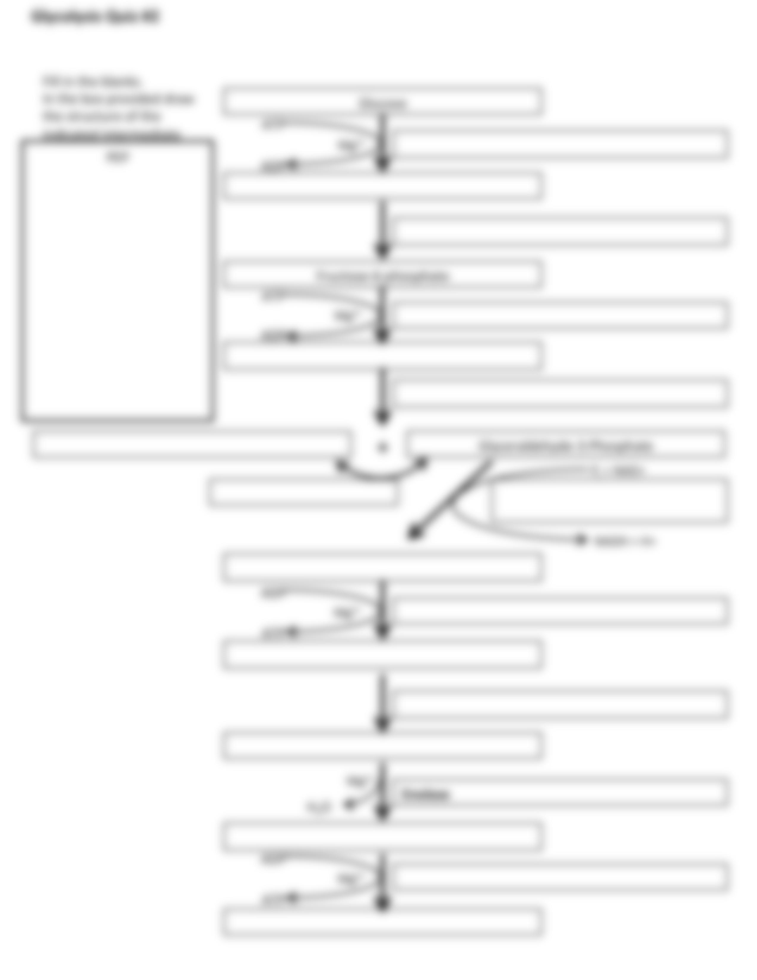 BIBC102 Rev5Quiz Glycolysis Practice Worksheets_dhmdobq0z7a_page3