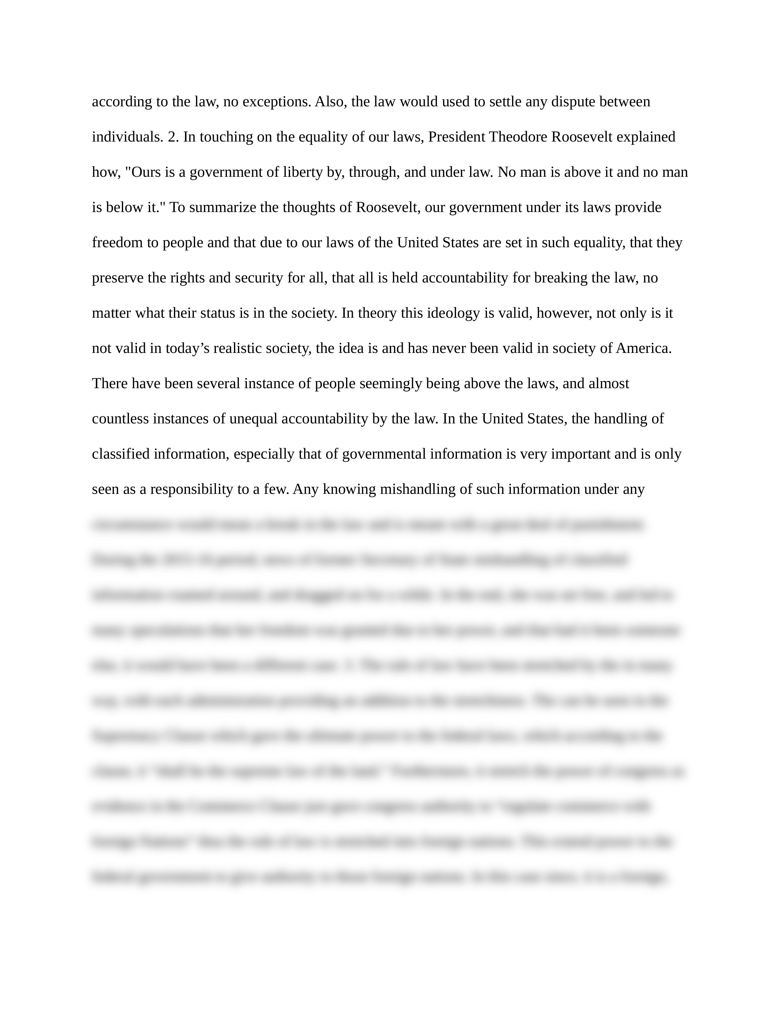 Writing Assignment#1 - Rule of Law.docx_dhn020wthmt_page2