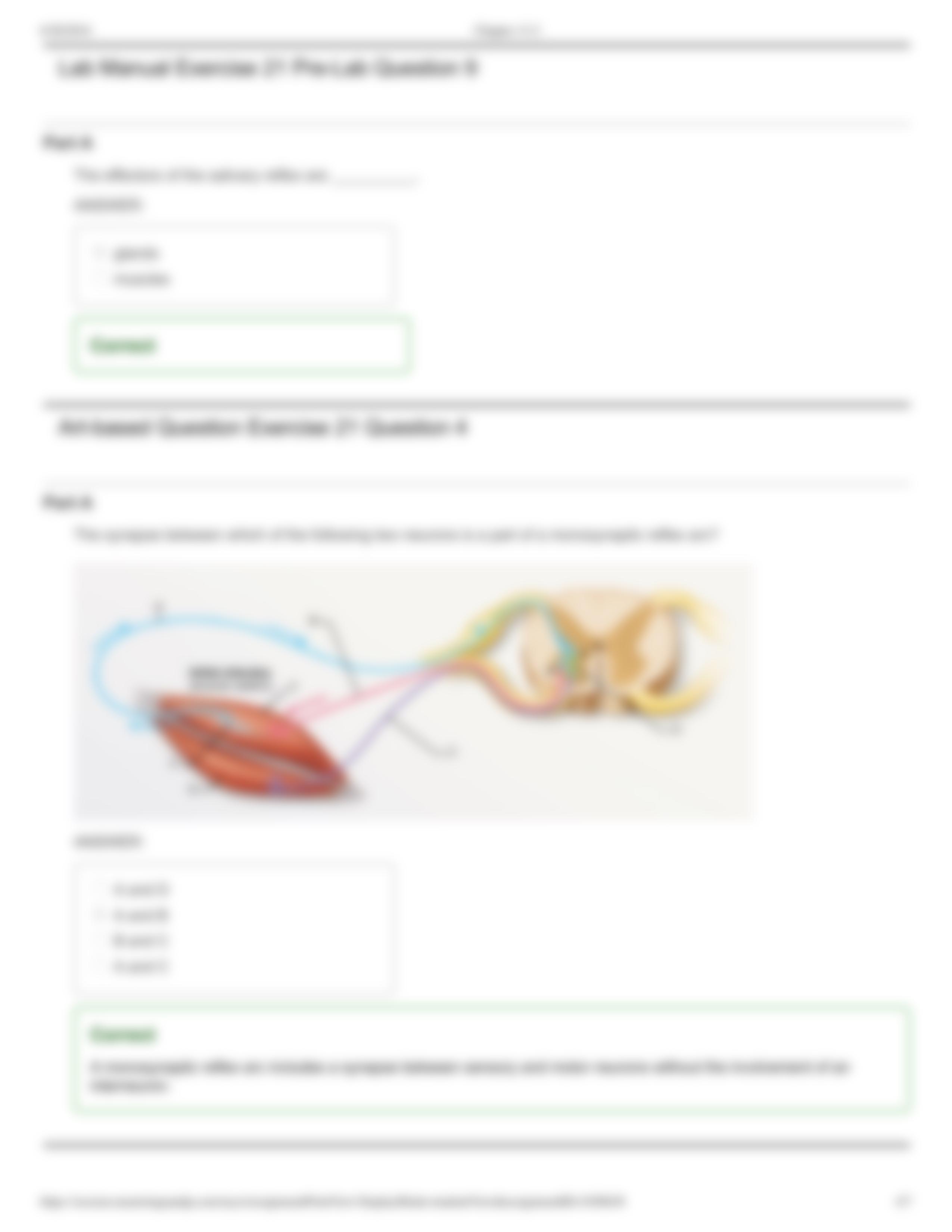 Lab - Chapter 13-2_dhny2tee1fz_page4