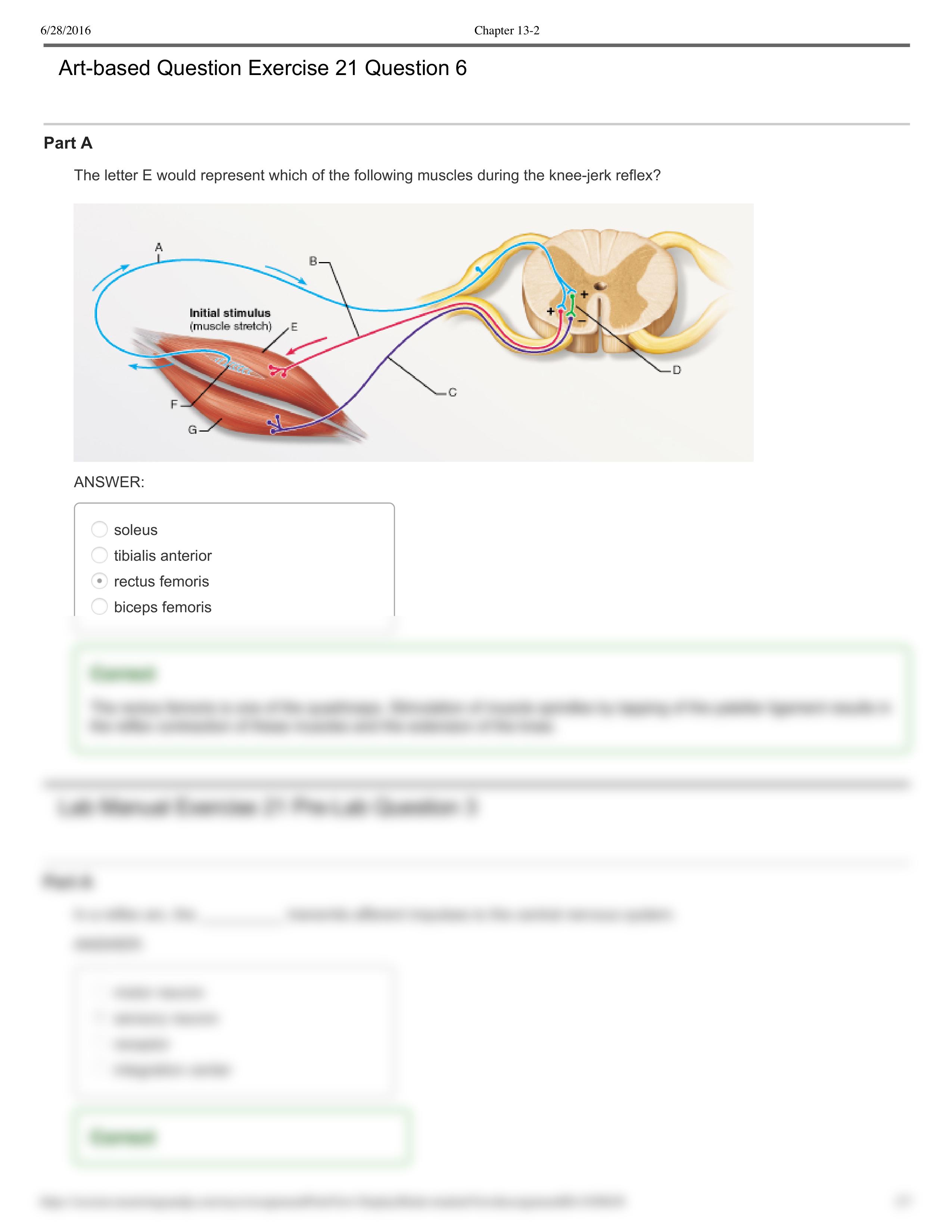 Lab - Chapter 13-2_dhny2tee1fz_page2