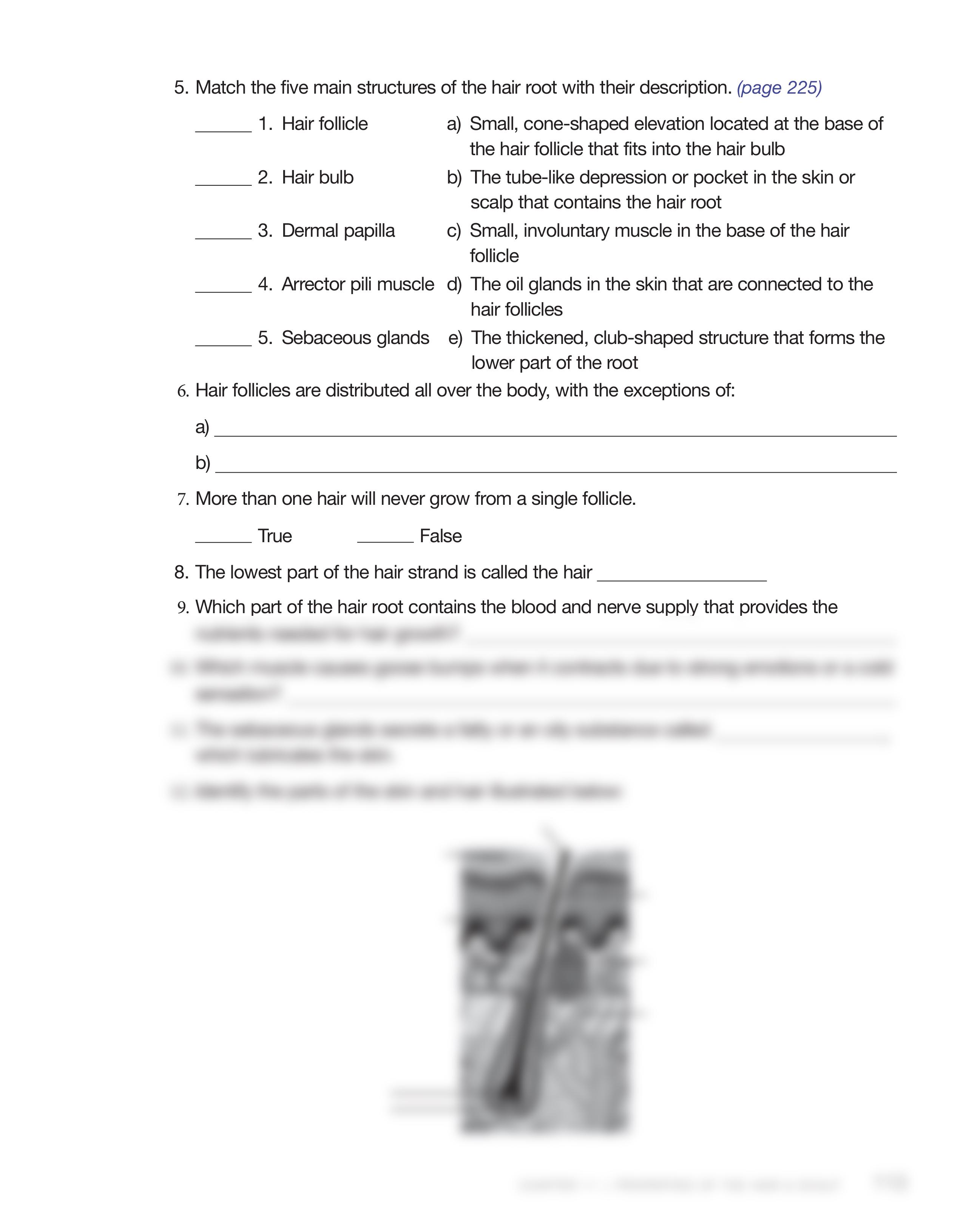 Chapter 11 Properties of the Hair and Scalp Theory Review 2_dhp2od3ymr5_page2