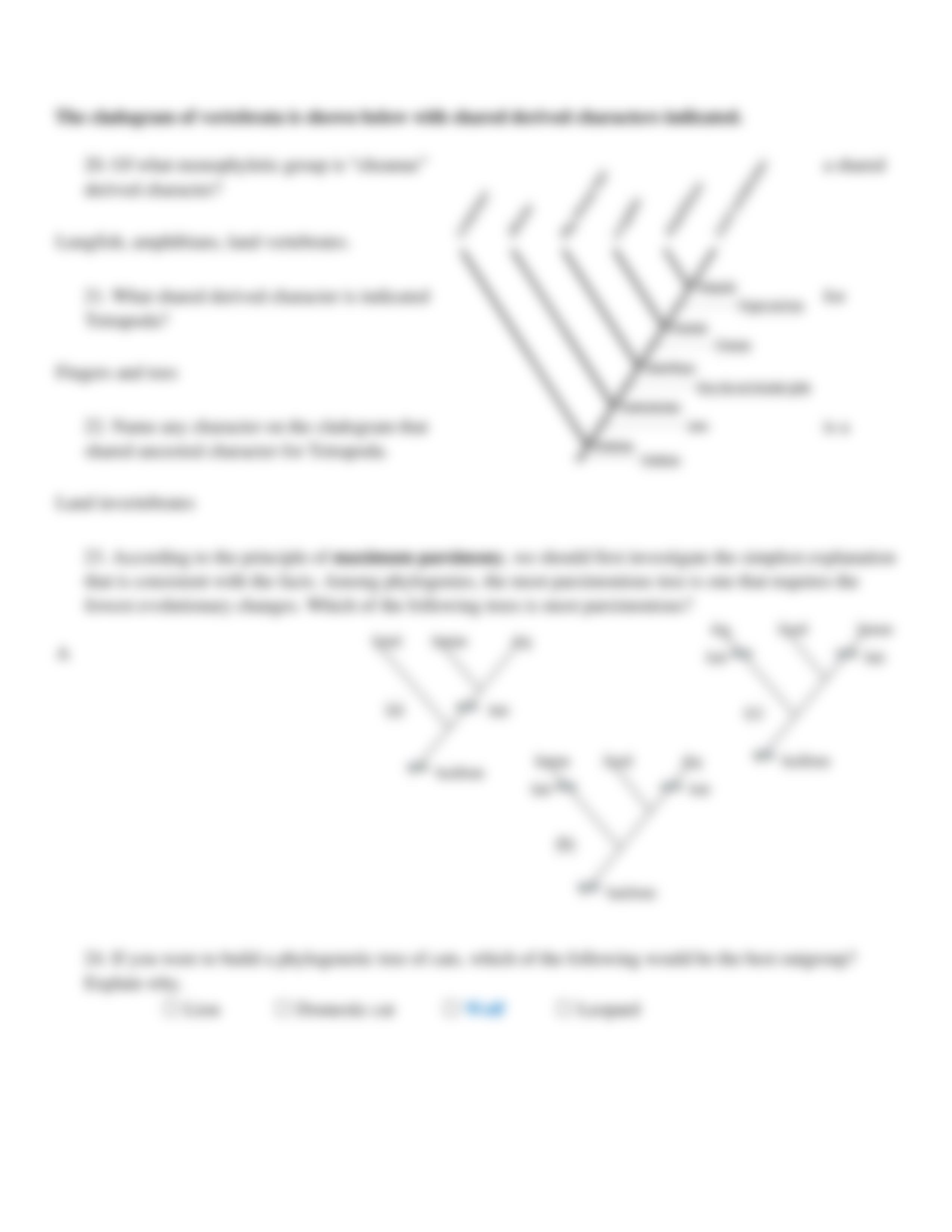 Phylogeny Review Worksheet (Canvas)-d4e022-b34f40.pdf_dhqytadyjks_page5