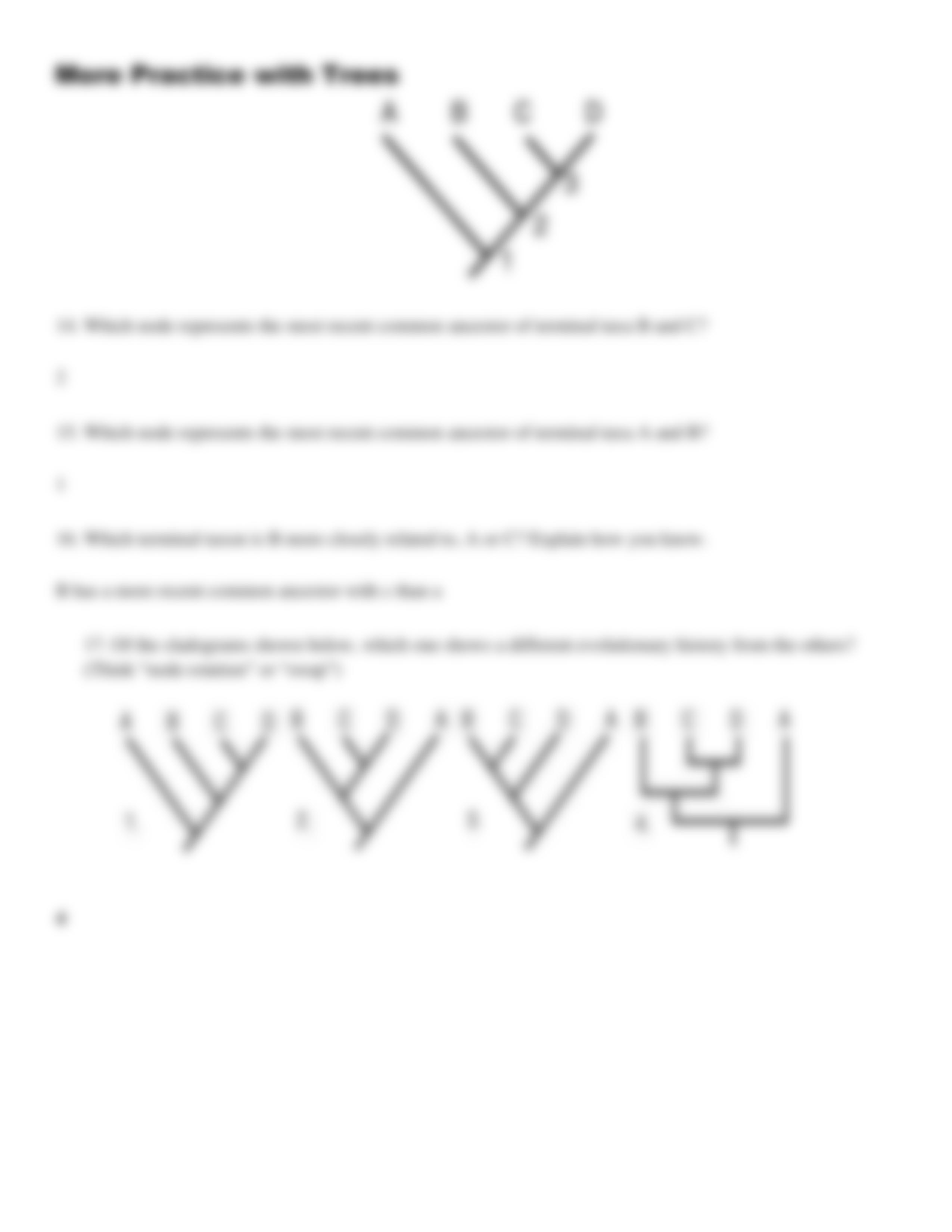 Phylogeny Review Worksheet (Canvas)-d4e022-b34f40.pdf_dhqytadyjks_page3