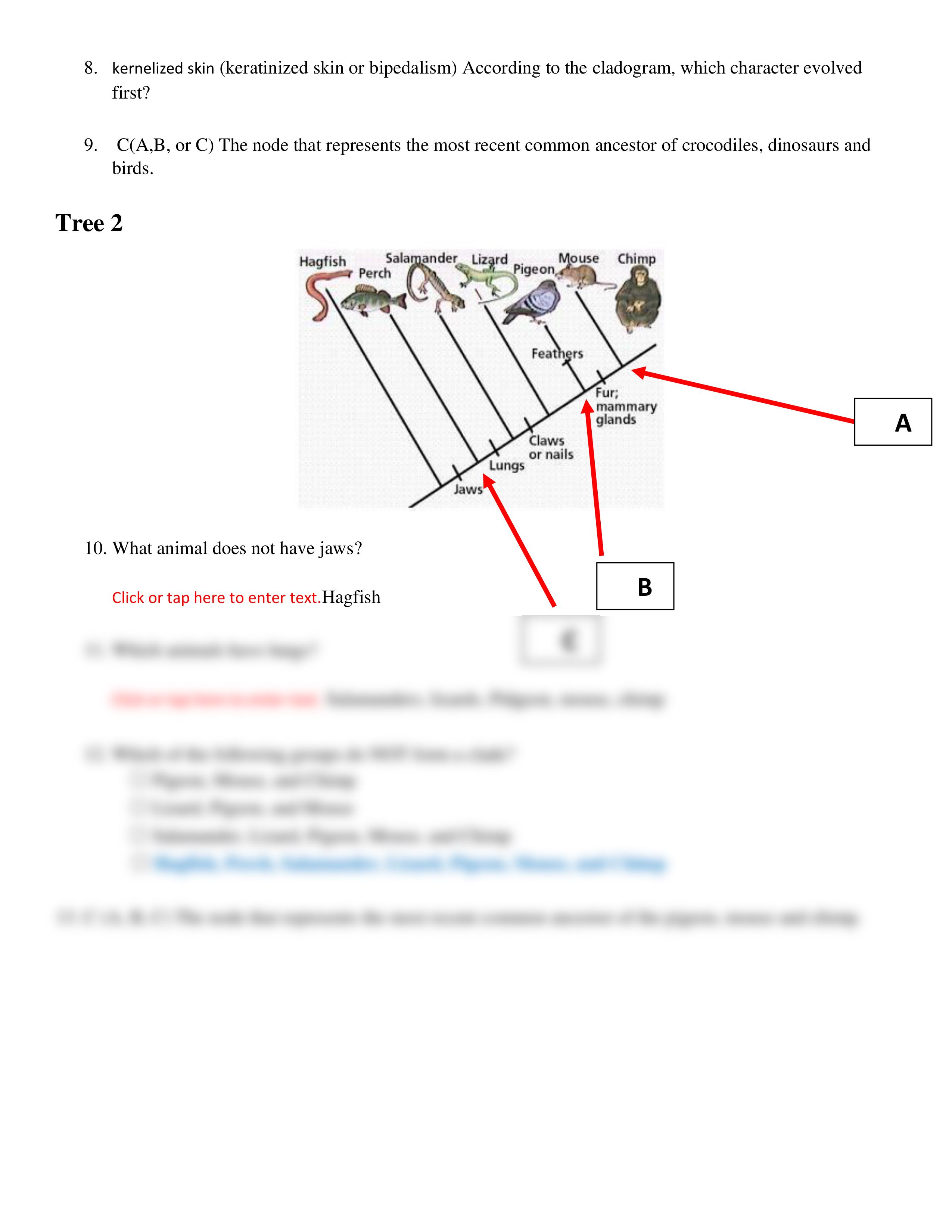 Phylogeny Review Worksheet (Canvas)-d4e022-b34f40.pdf_dhqytadyjks_page2