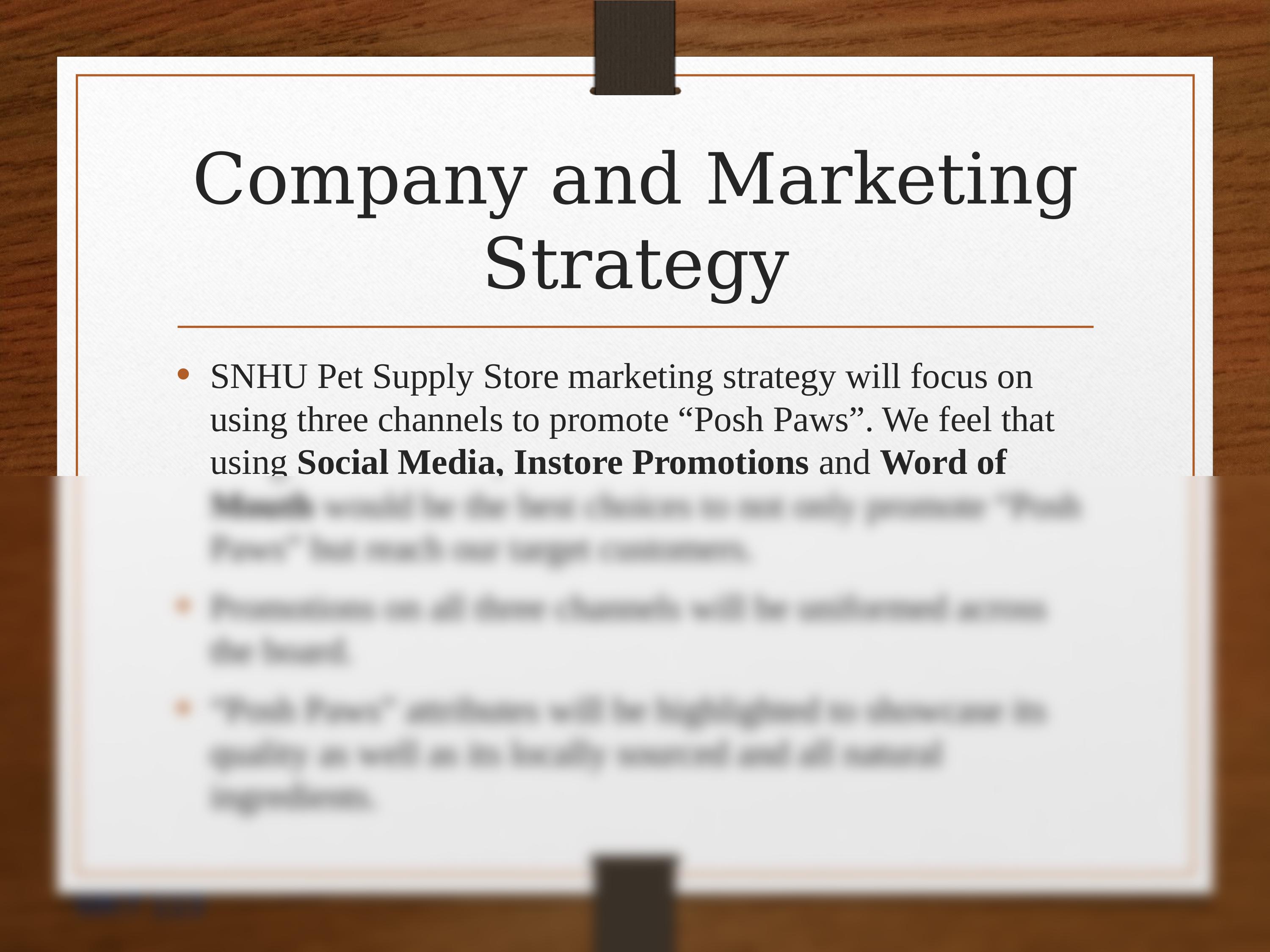 MKT 113 Marketing Channels Analysis SNHU.pptx_dhvgjf0fh8p_page2