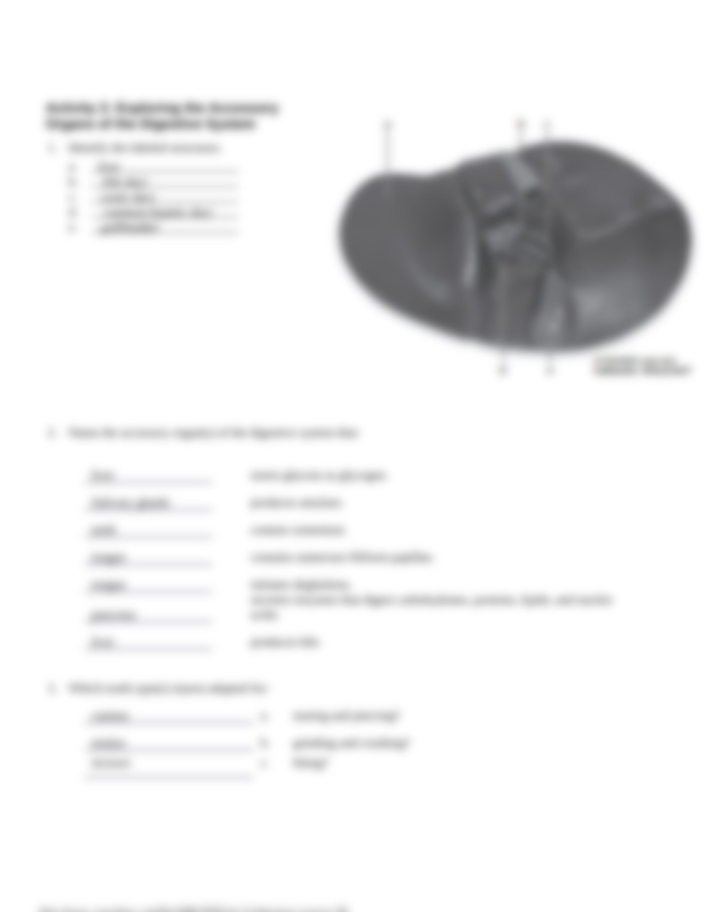 Unit 13 laboratory exercise 28_dhvhkrql8wl_page3