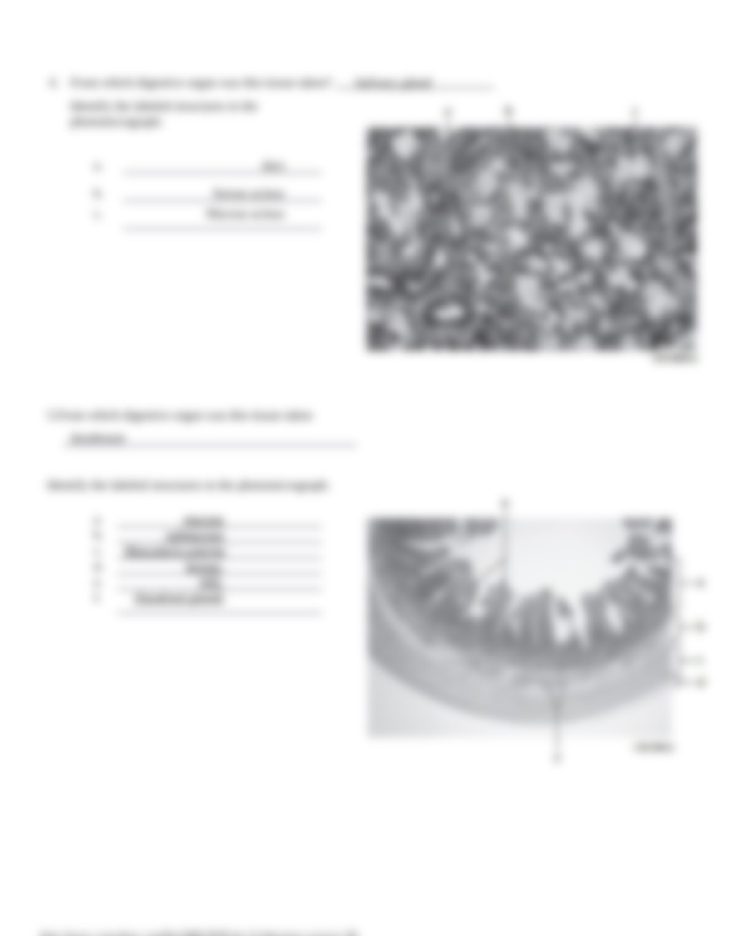 Unit 13 laboratory exercise 28_dhvhkrql8wl_page5