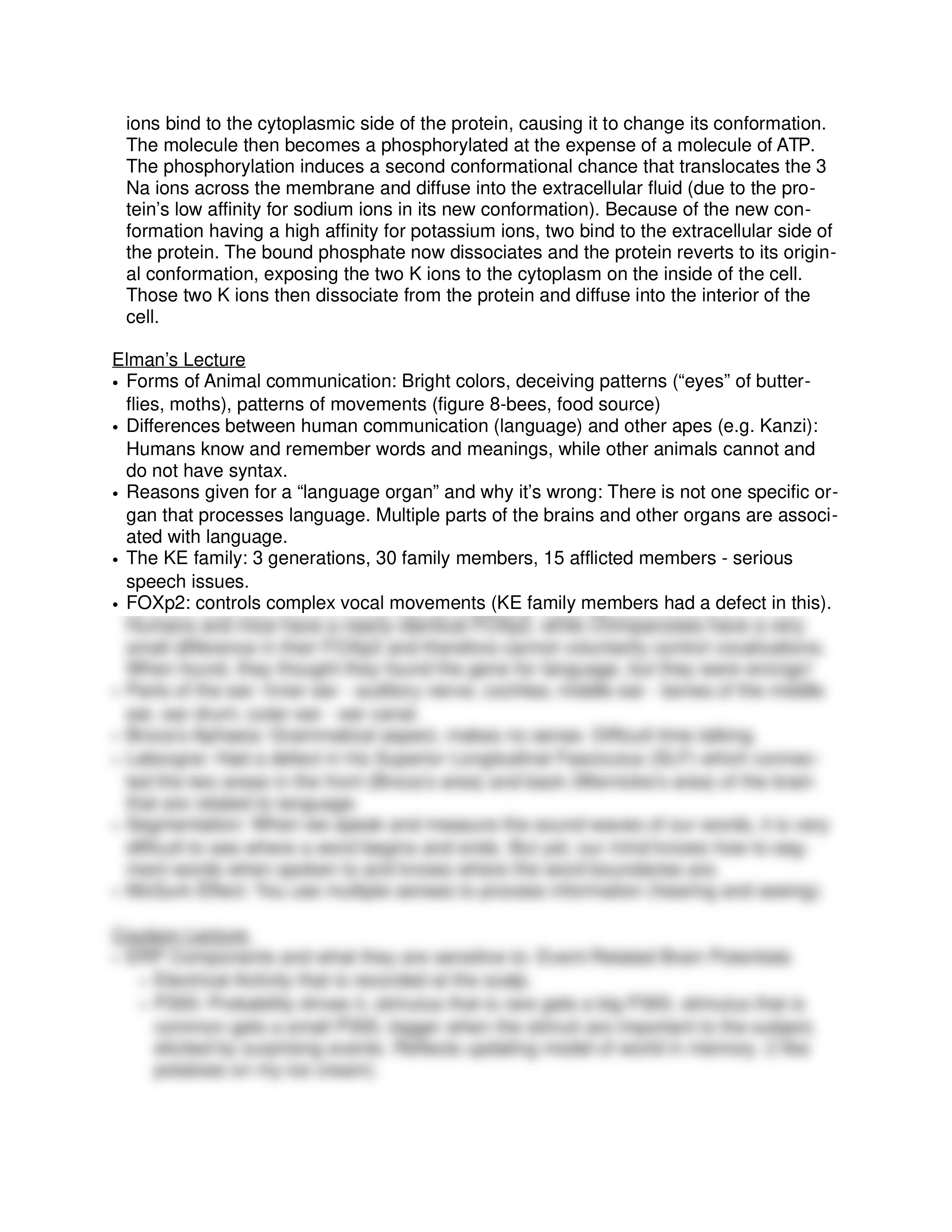 Cogs 1 Midterm Review_dhw64e0en5h_page2