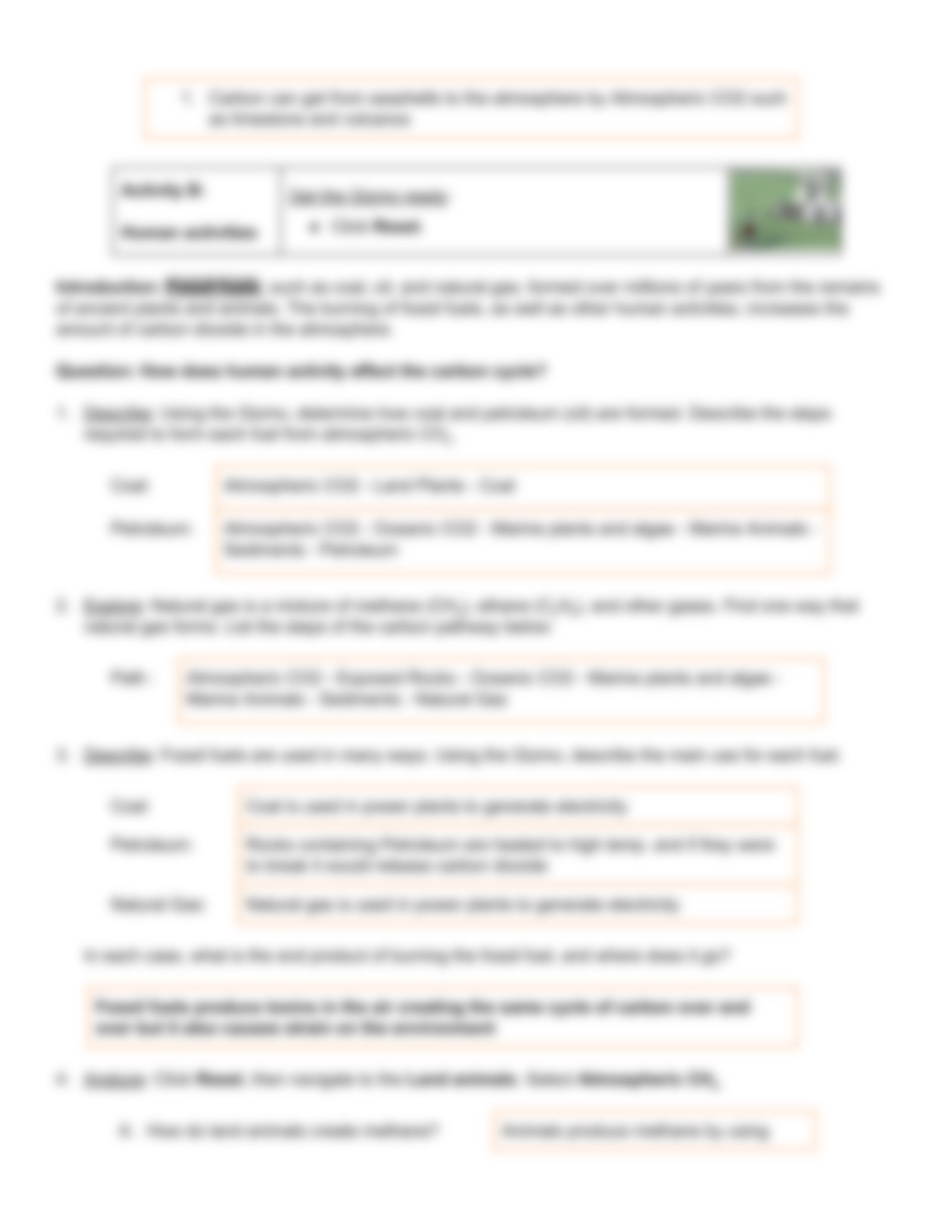 Jake Addy - 6c) Carbon Cycle - Gizmo.pdf_dhw8gr77aa5_page4