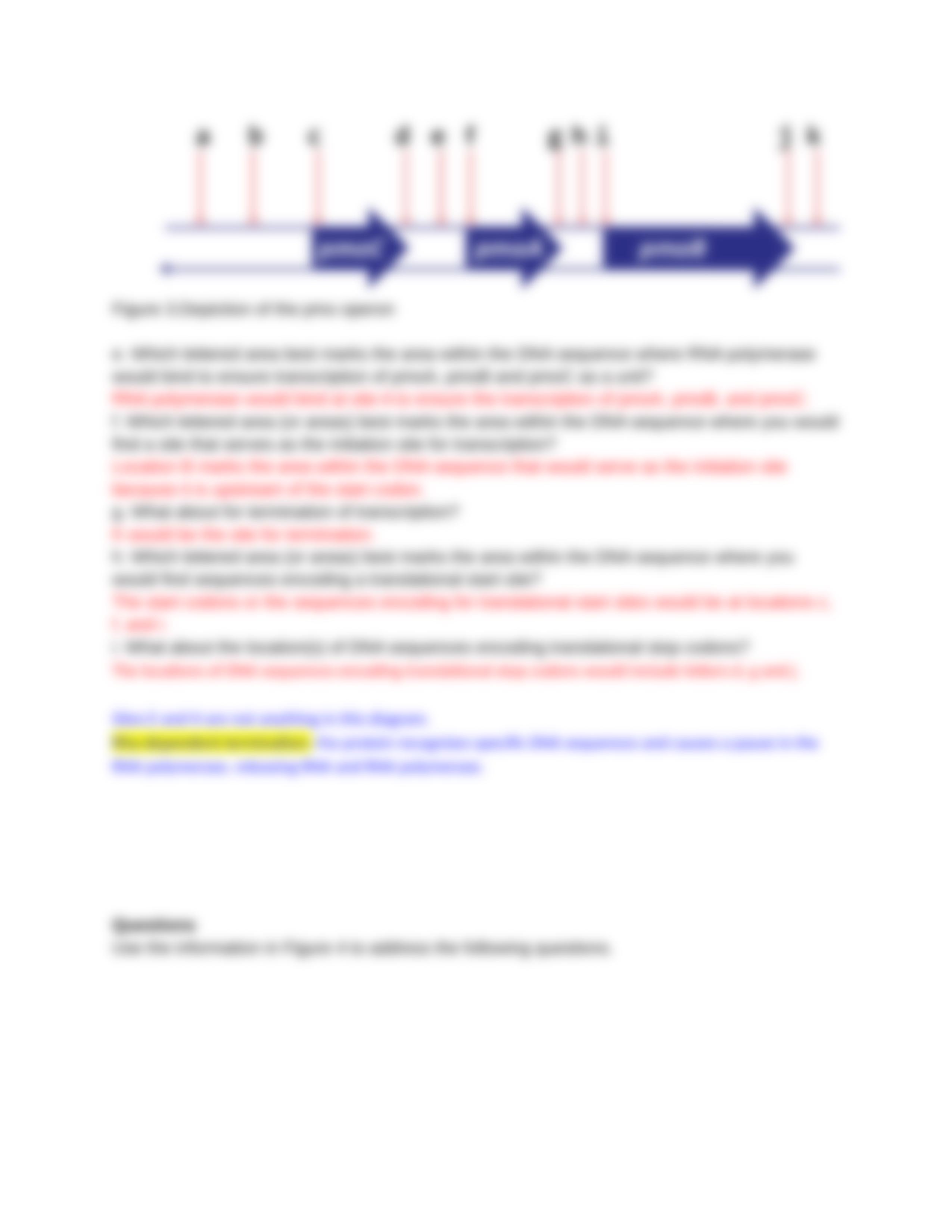 Microbial Genetics Case Study_dhyr901gbkc_page3