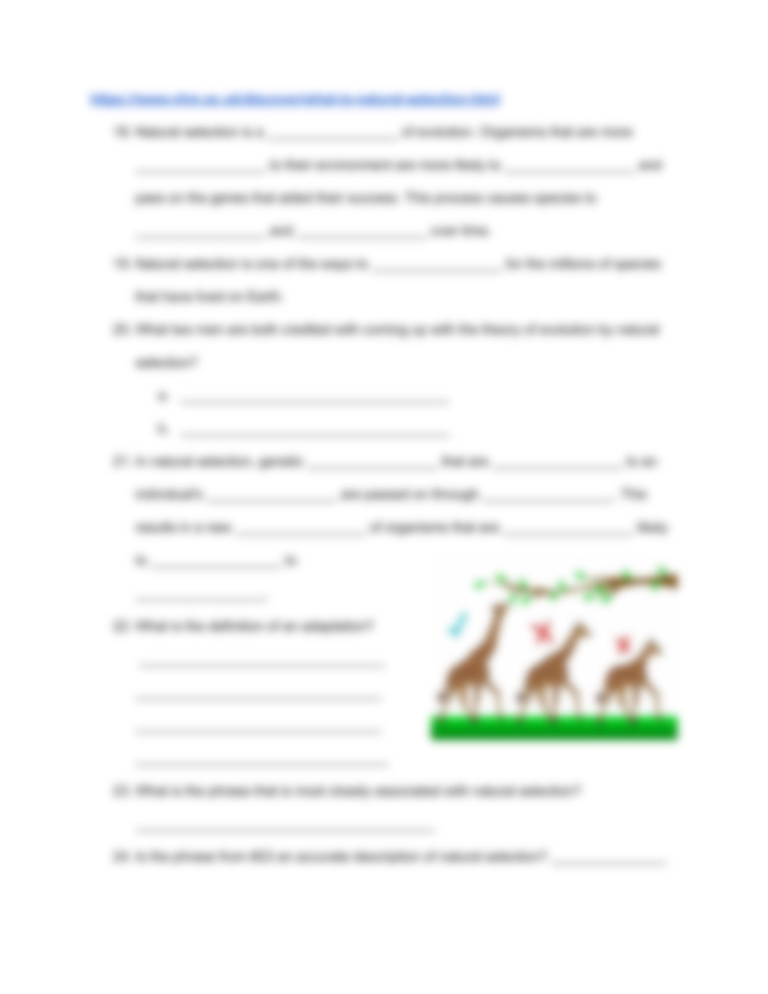 Introduction to Evolution Web Quest Packet (2).pdf_di1b9chk03w_page4