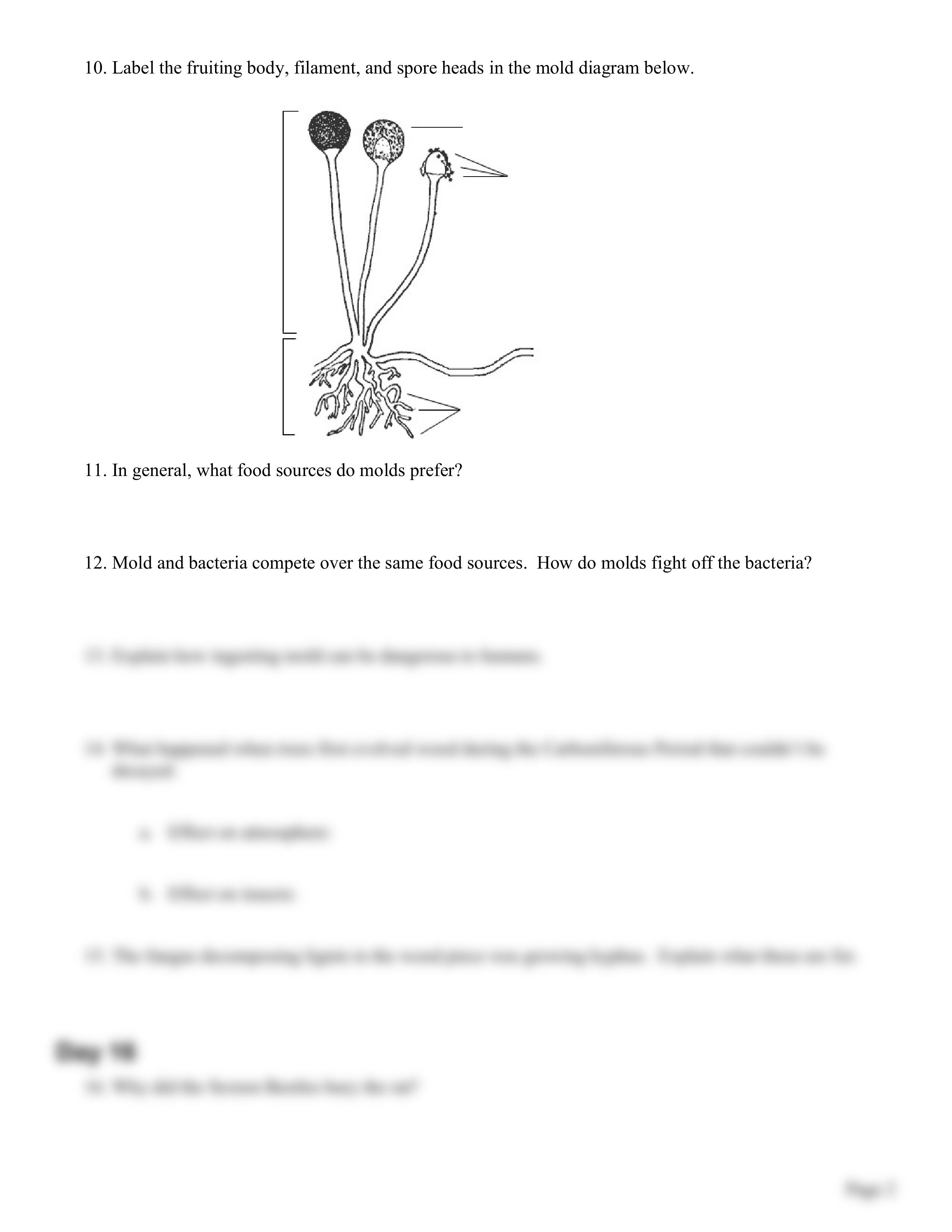 After_Life_Worksheet.pdf_di2hojz5xe3_page2