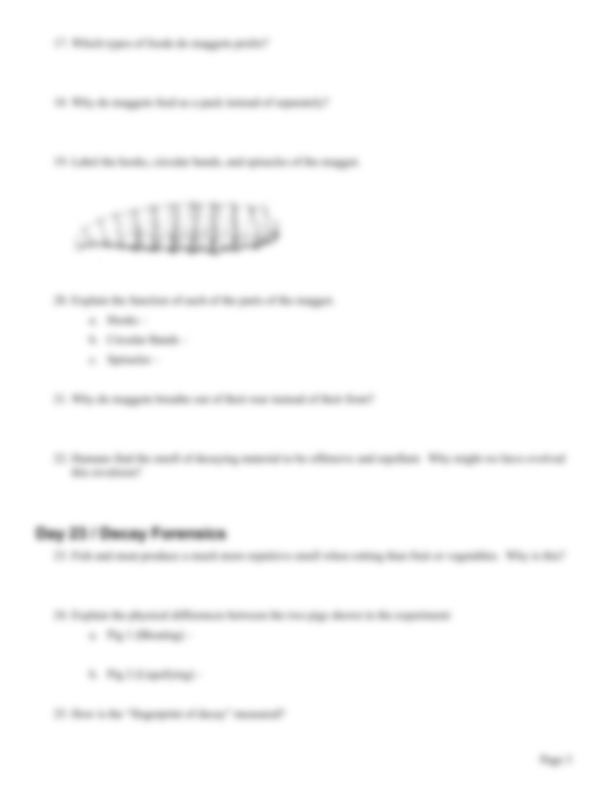 After_Life_Worksheet.pdf_di2hojz5xe3_page3