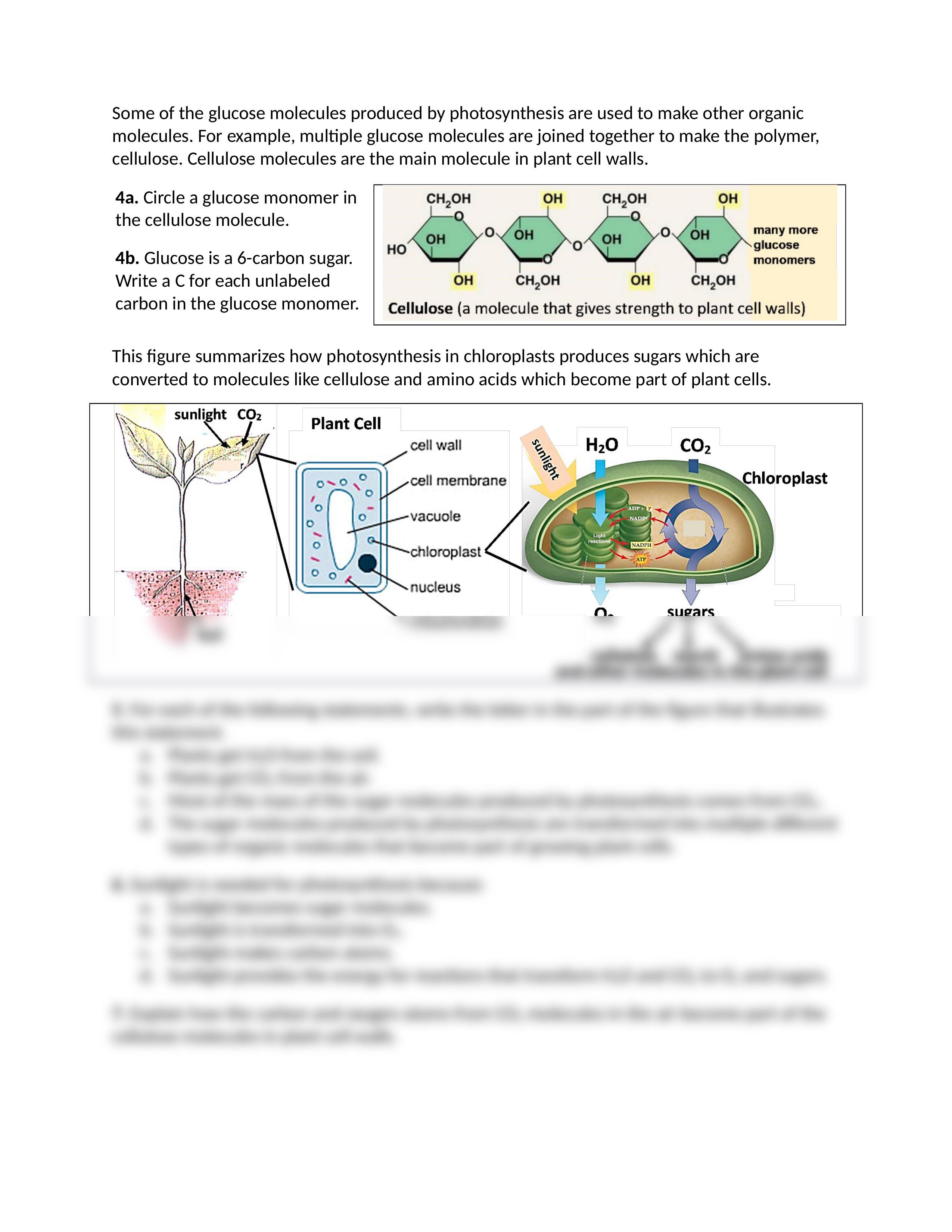 PlantMassFromSHO.docx_di5jj6q8do9_page2