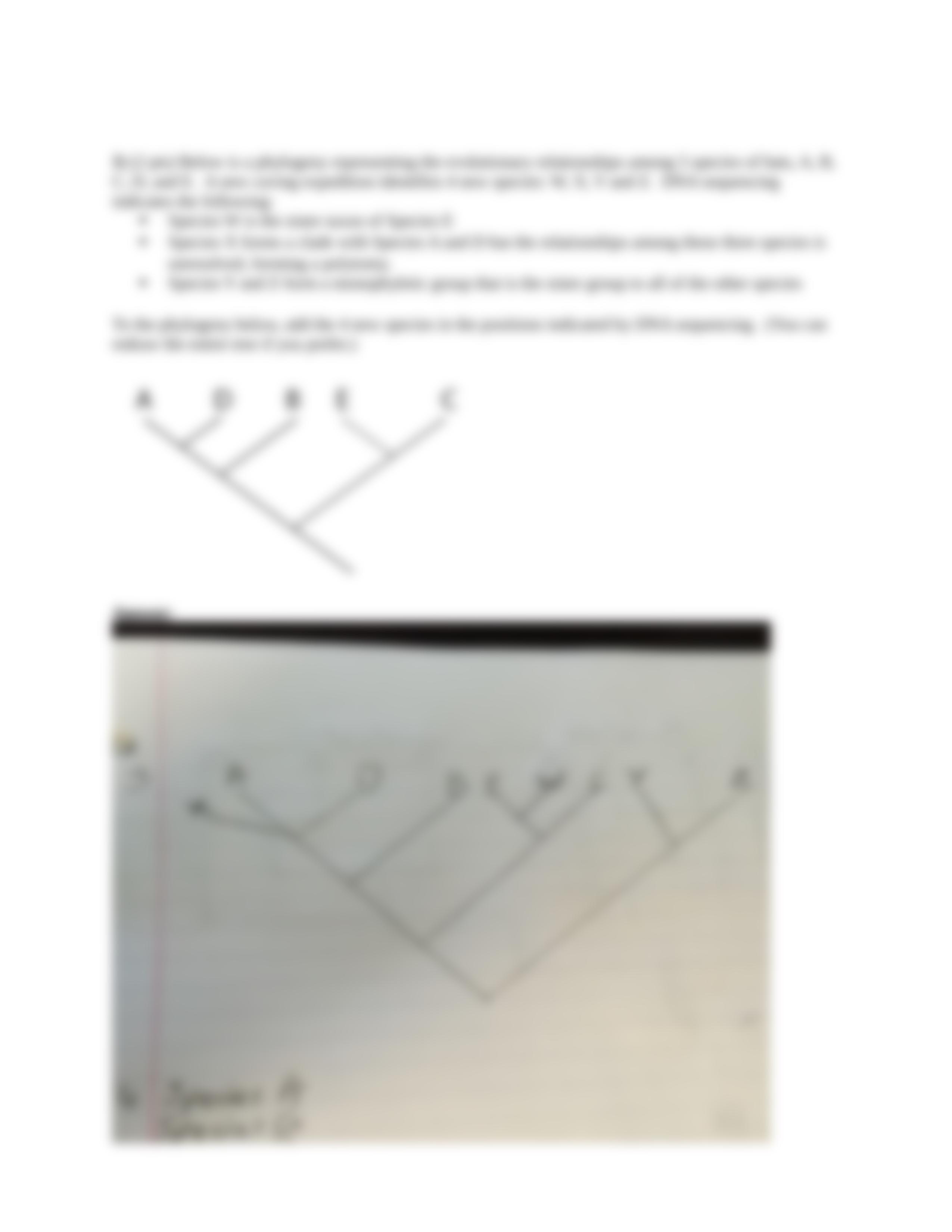 HW 6 trees answered_di9e29a5t49_page4