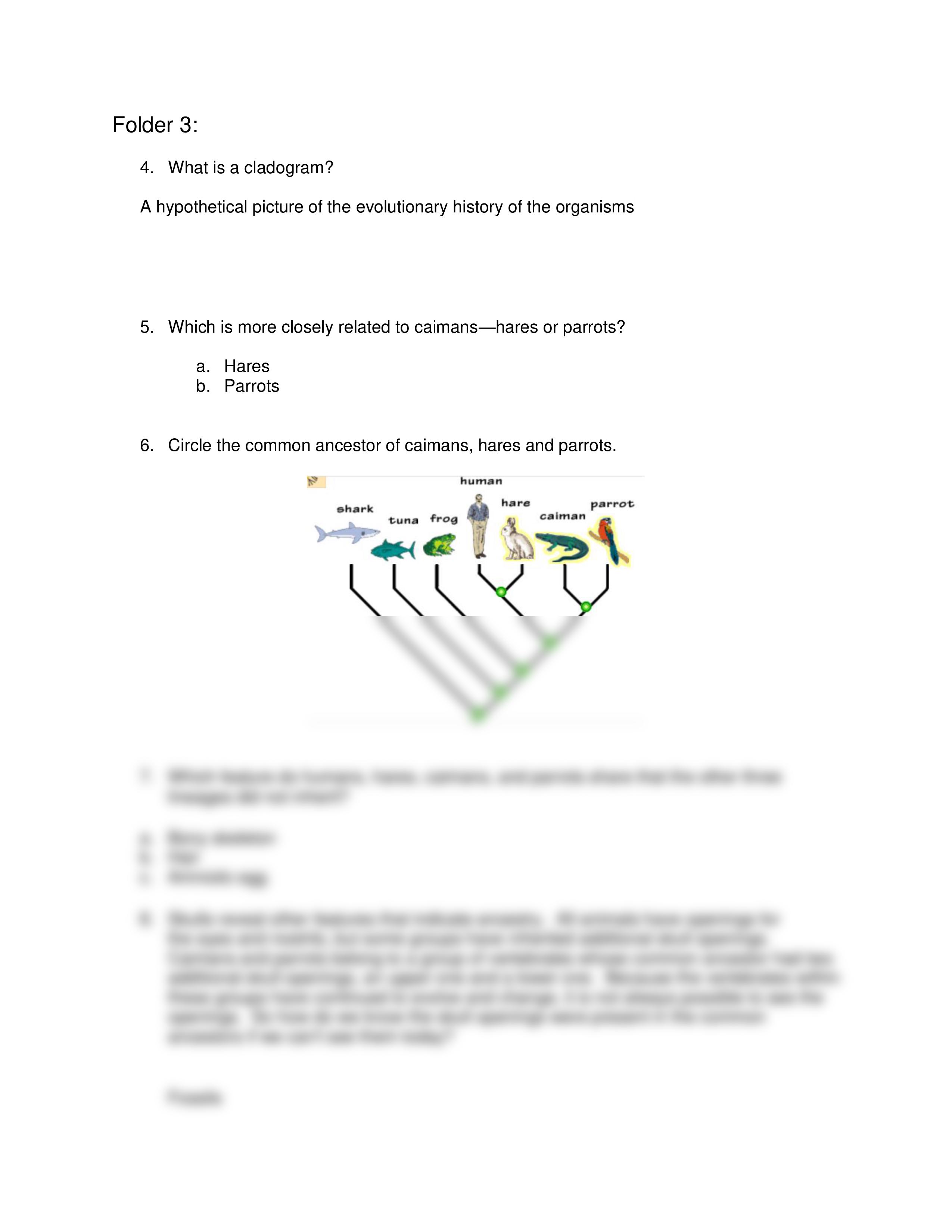 What did T. rex Taste Like Worksheet.pdf_dic9h211tlv_page2