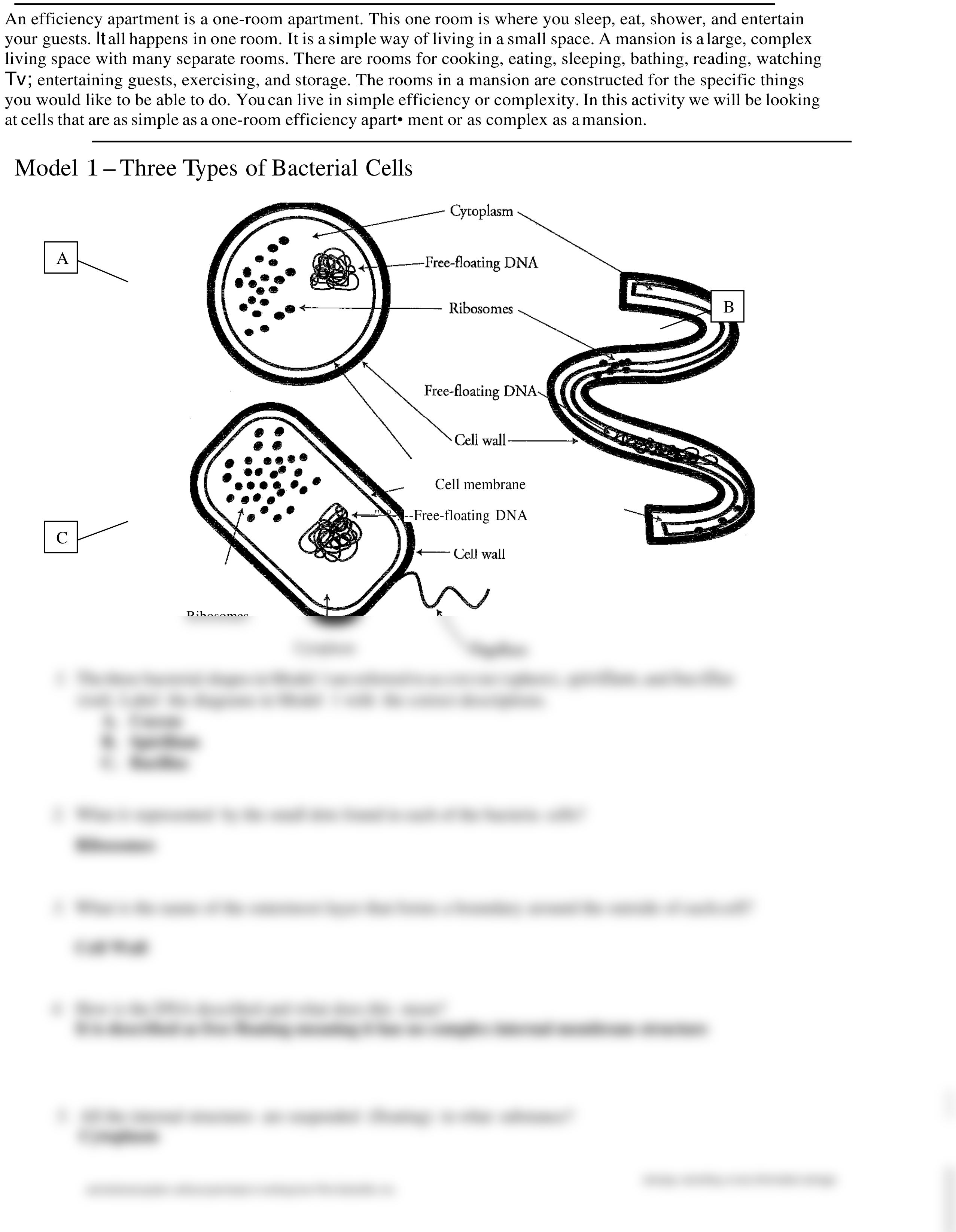 Prokaryotic vs. Eukaryotic Worksheet.pdf_dicdxri41os_page2