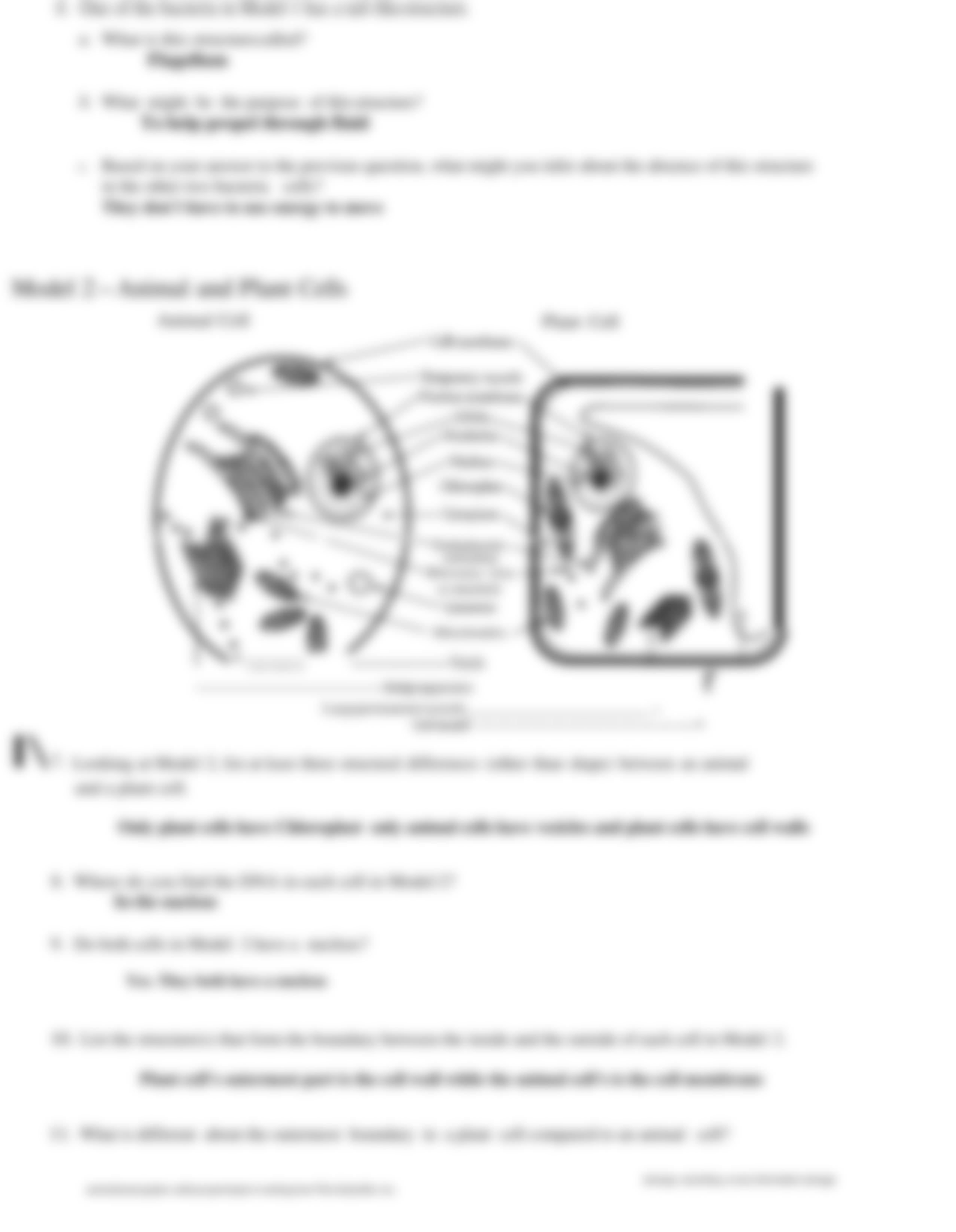 Prokaryotic vs. Eukaryotic Worksheet.pdf_dicdxri41os_page3