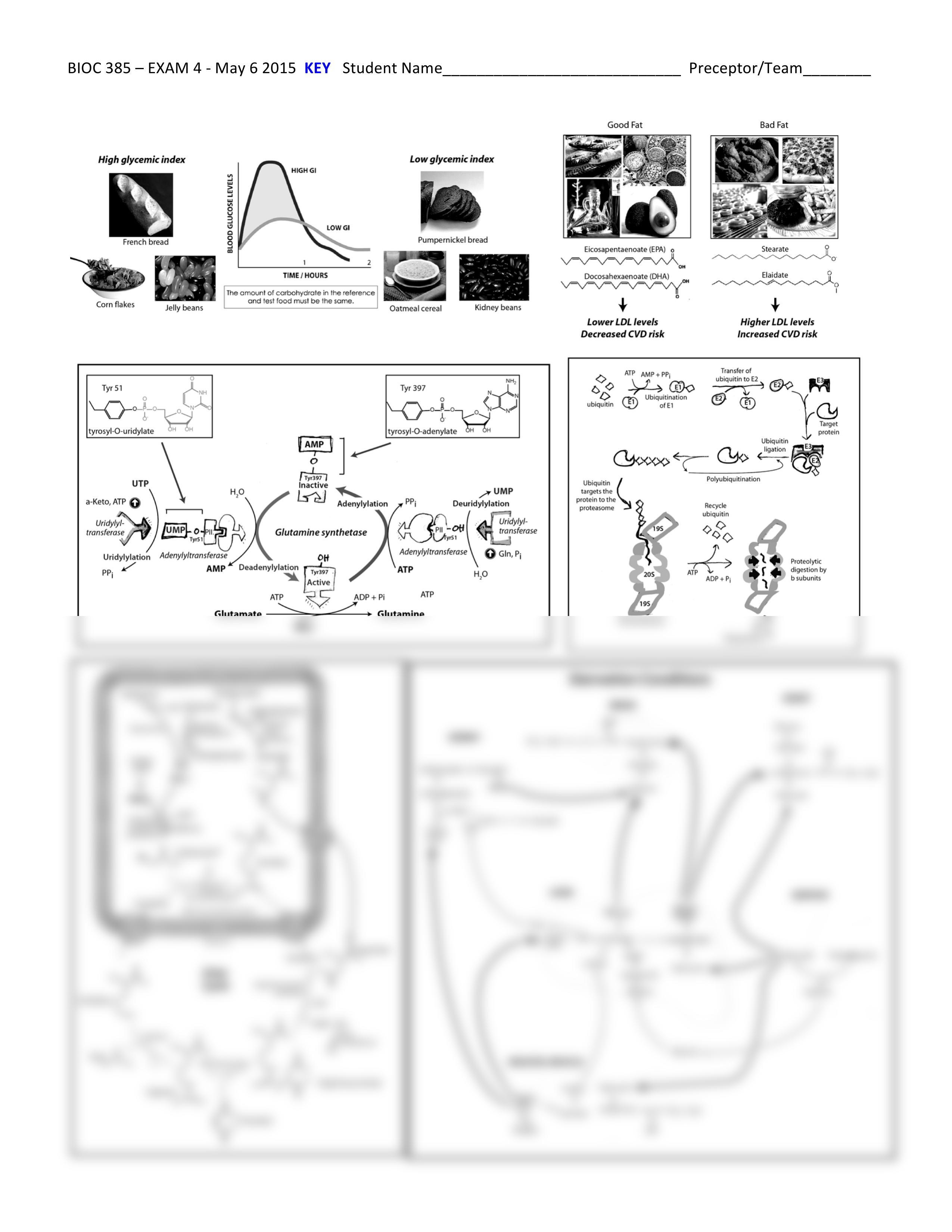 BIOCHEM 385 - Exam 4 KEY_dicx8xt0kny_page2