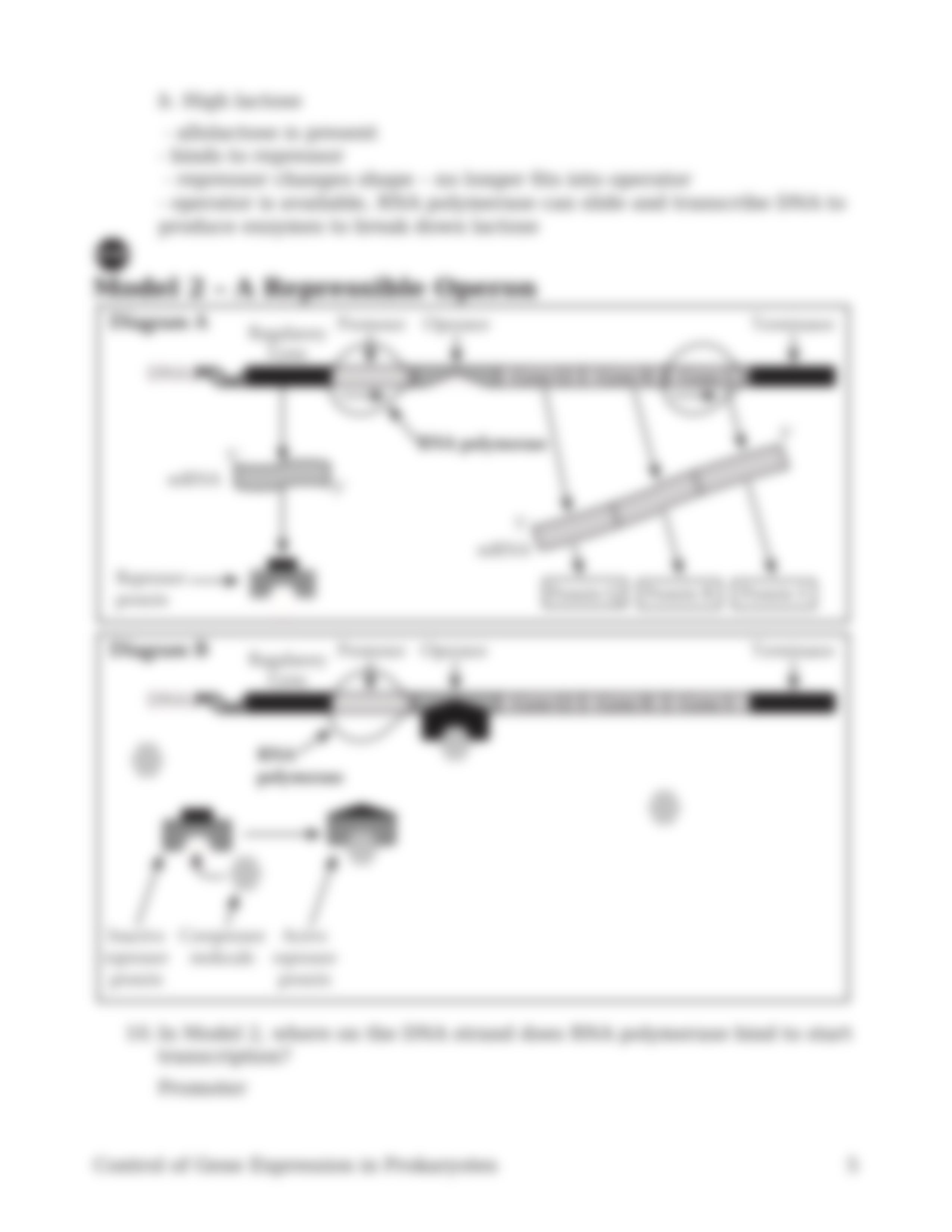 17 Control of Gene Expression in Prokaryotes-S.pdf.docx_diee8rzzfnj_page5