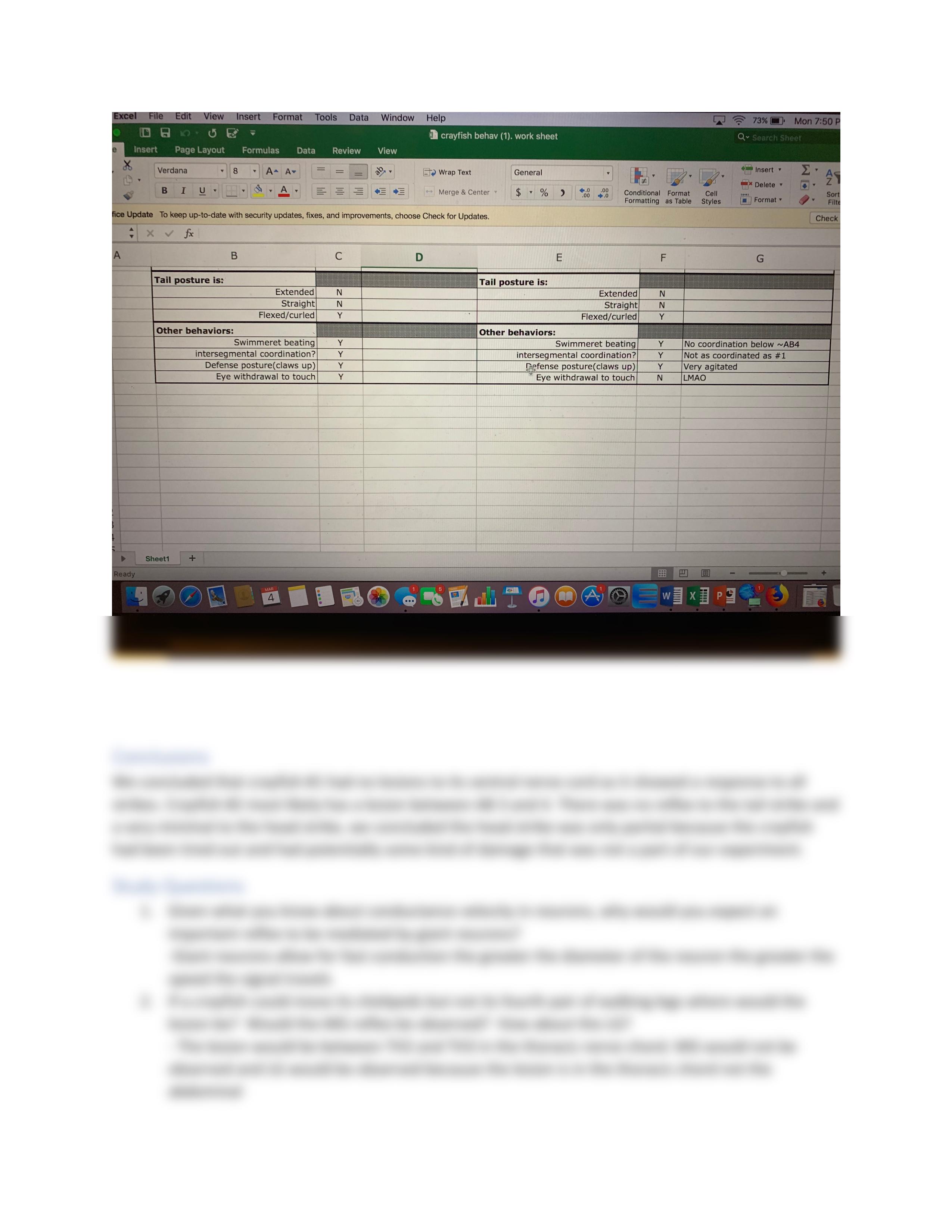 Crayfish Lab report .pdf_diha7wtnh6c_page2