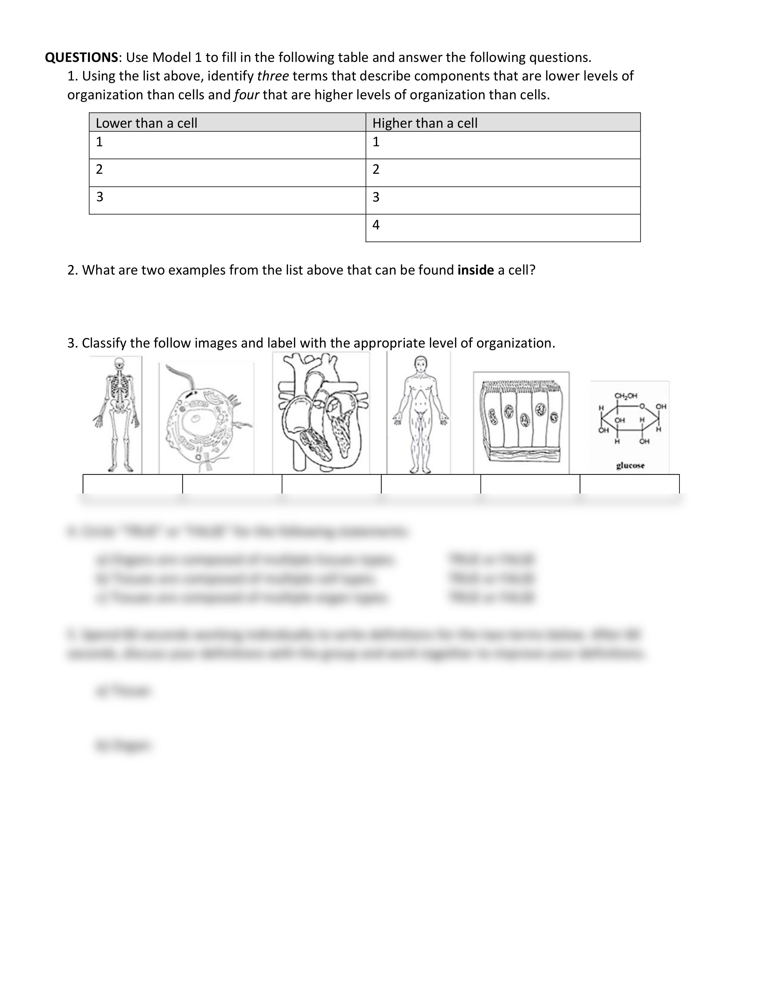 Bi_331_2016_Levelsoforgstudent_final.pdf_diw71upibi2_page2