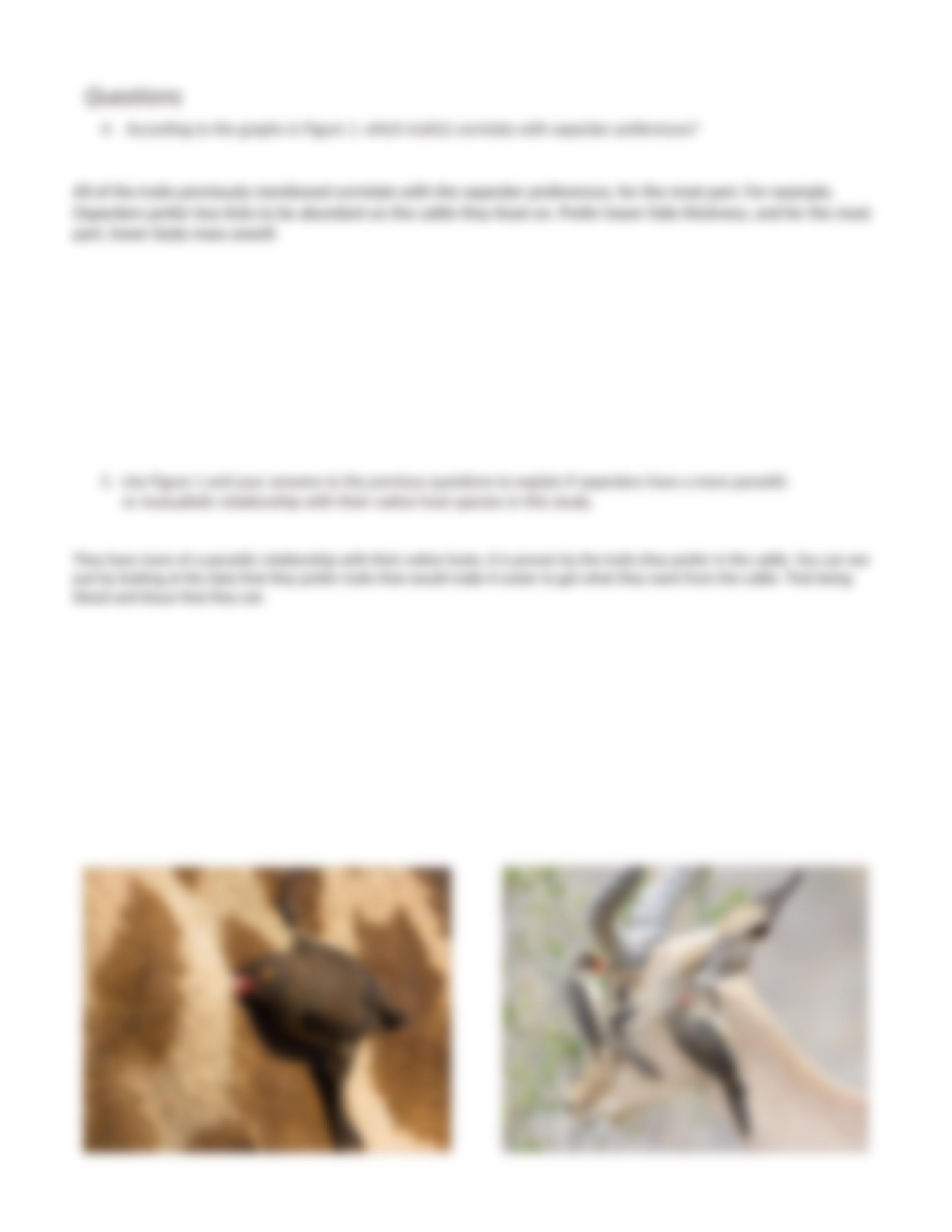 OXPECKER CASE STUDY.docx_dj5u5ojo9lg_page4