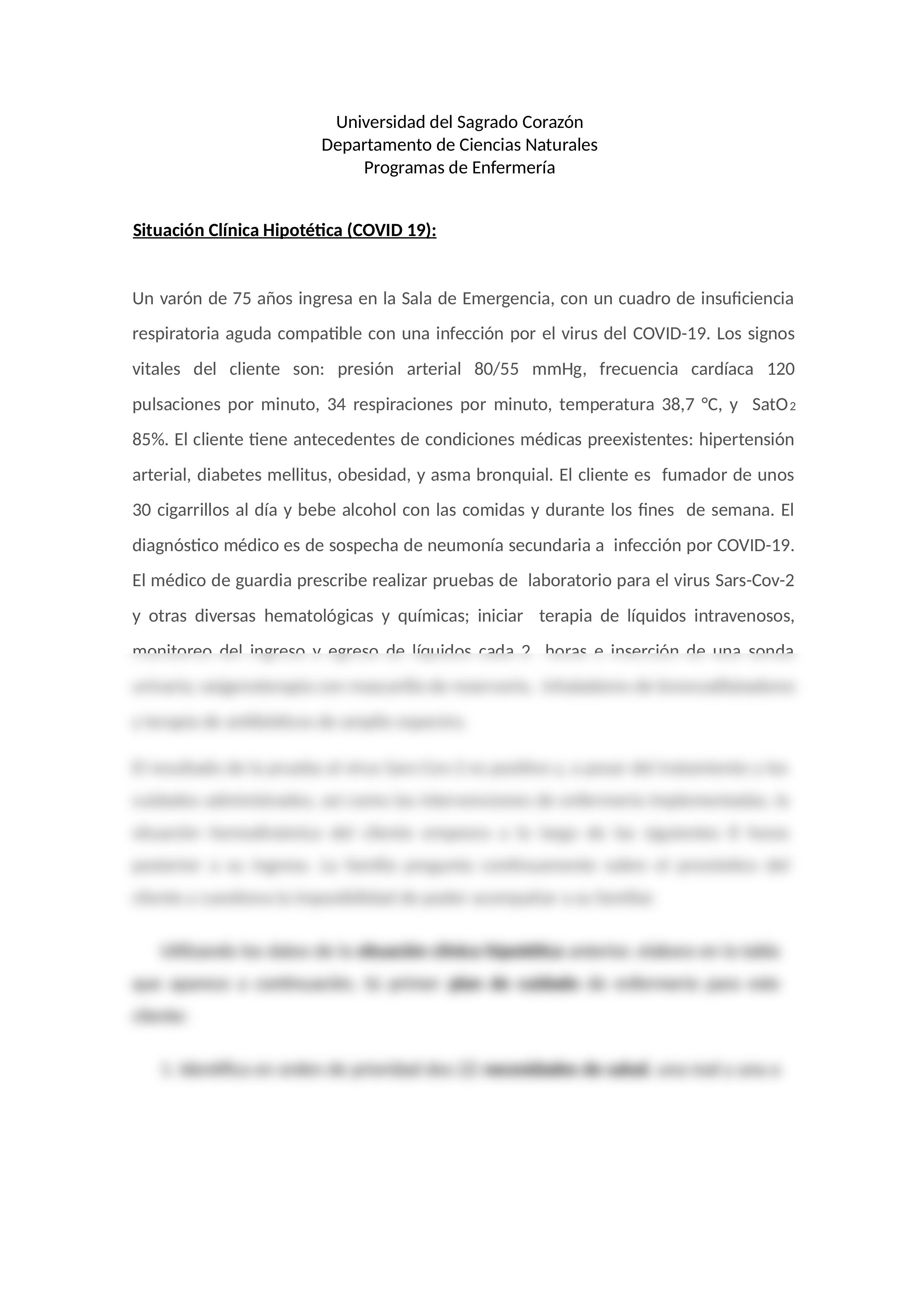 Taller_de_Plan_de_Cuidado_de_Enfermeria_dja7cuhqcxd_page2