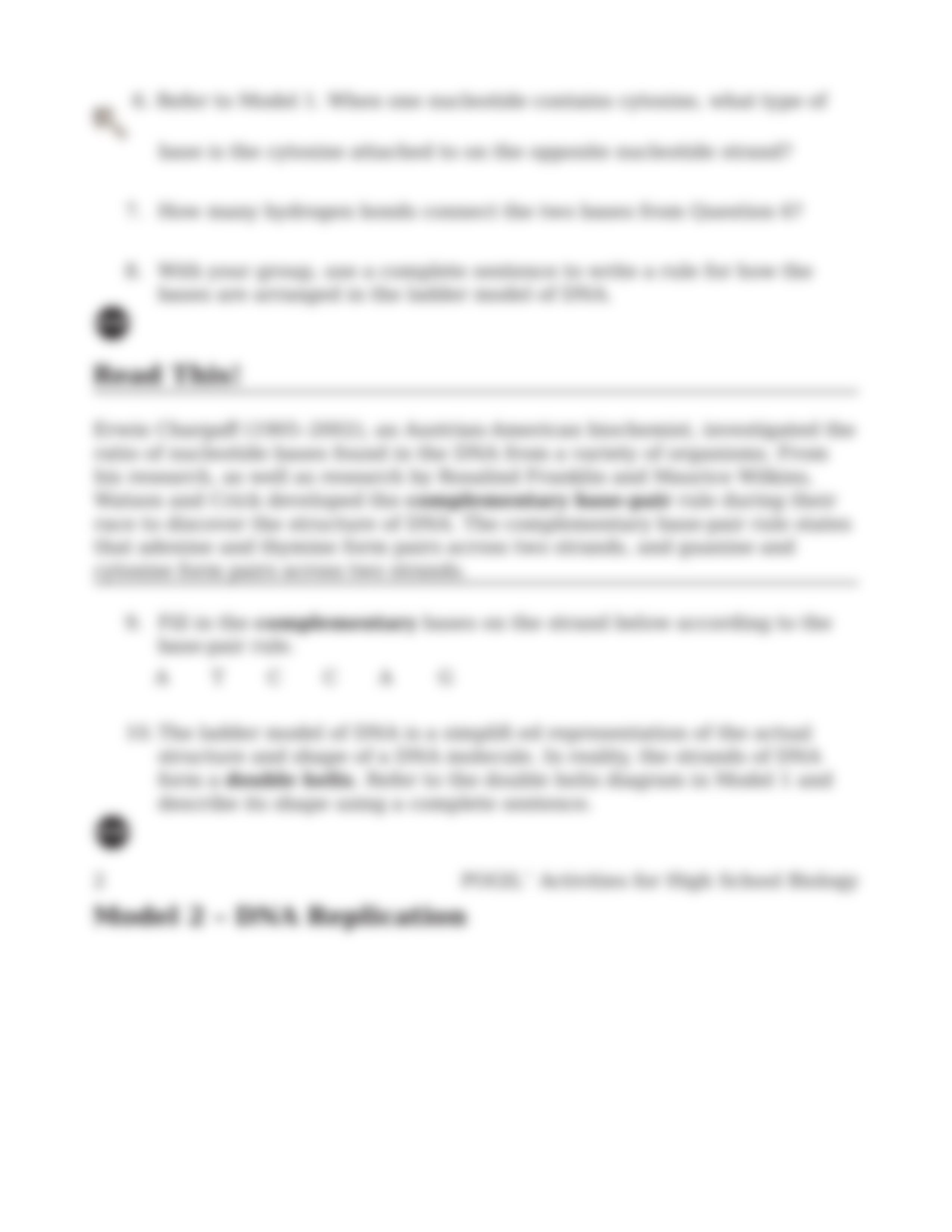 DNA Structure and Replication worksheet.docx_djg6mzwczqb_page3